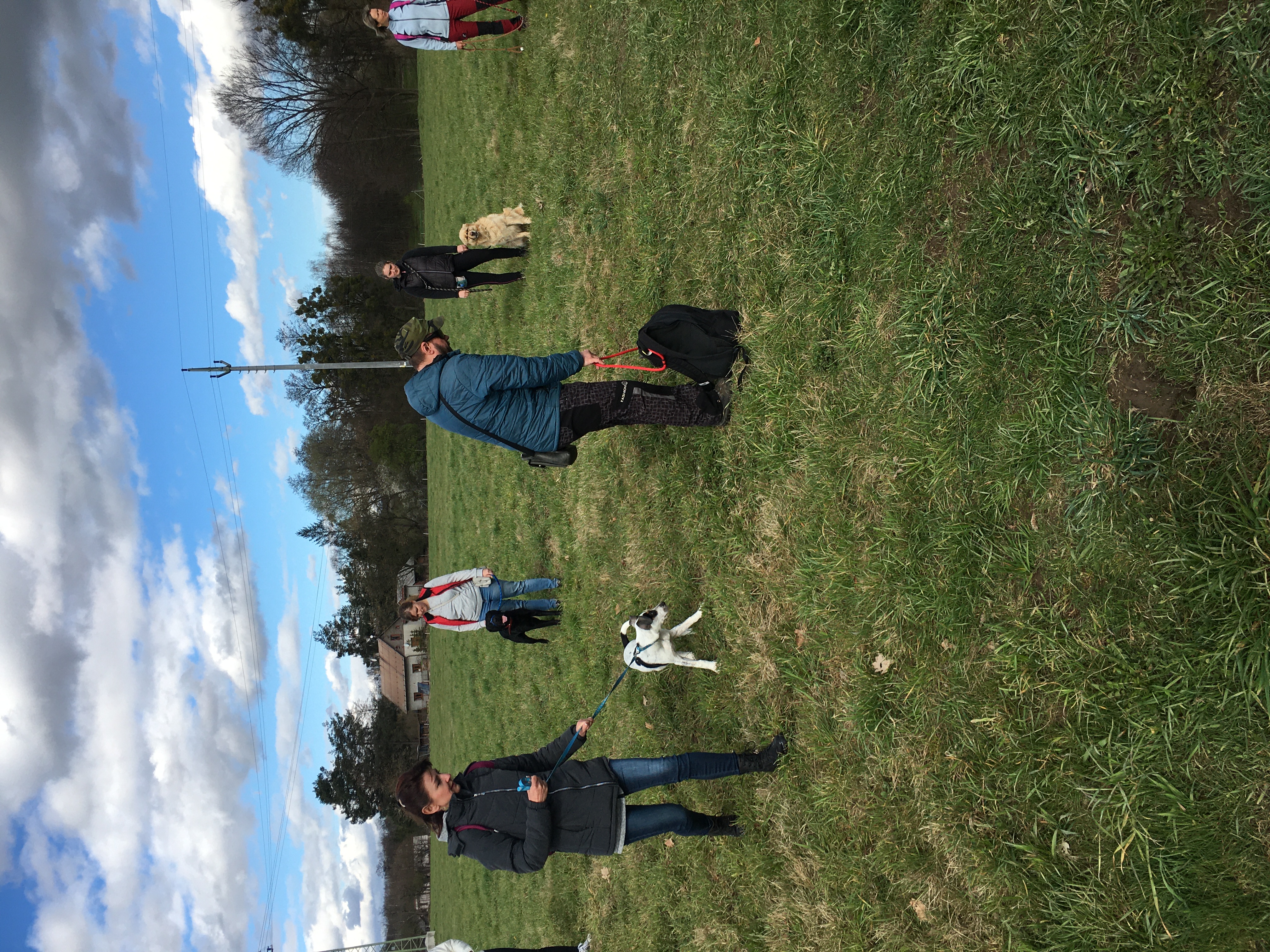 Filip Bačík - Psí pomoc foto 5