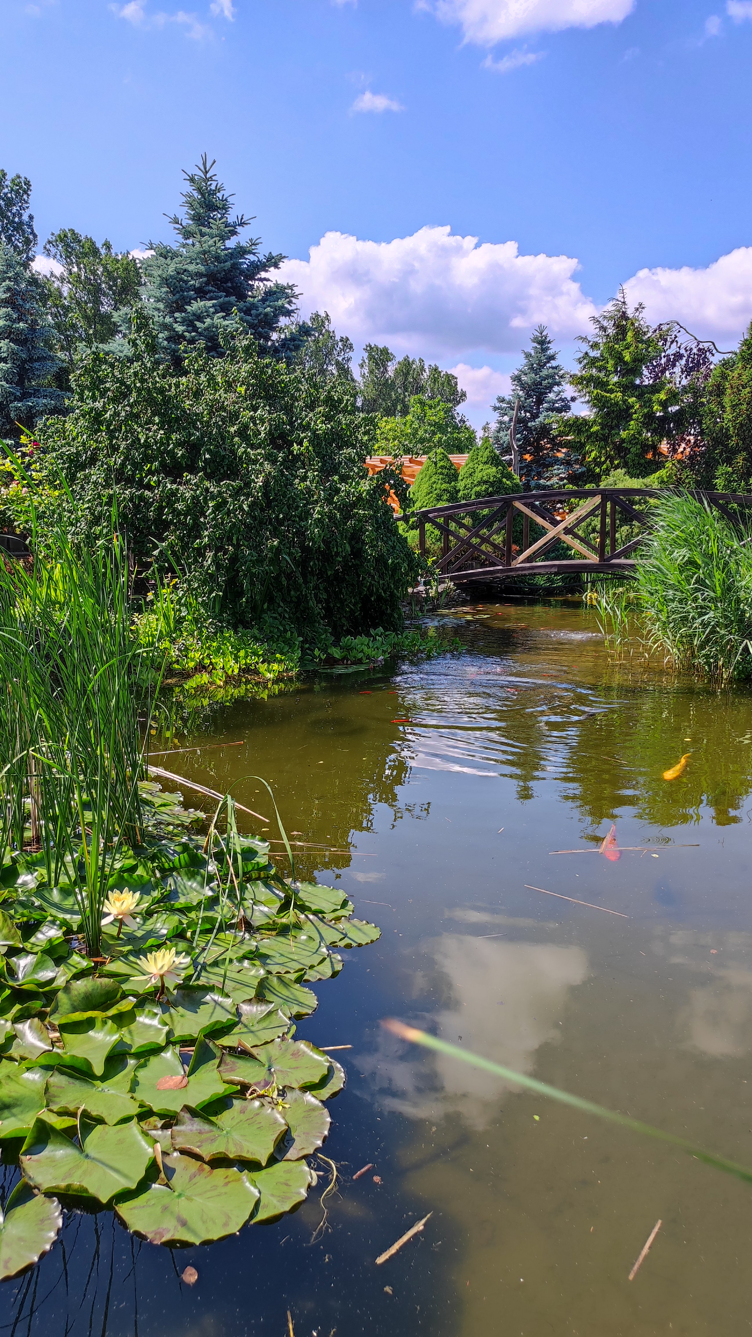 HORTISCENTRUM, s.r.o. foto 3