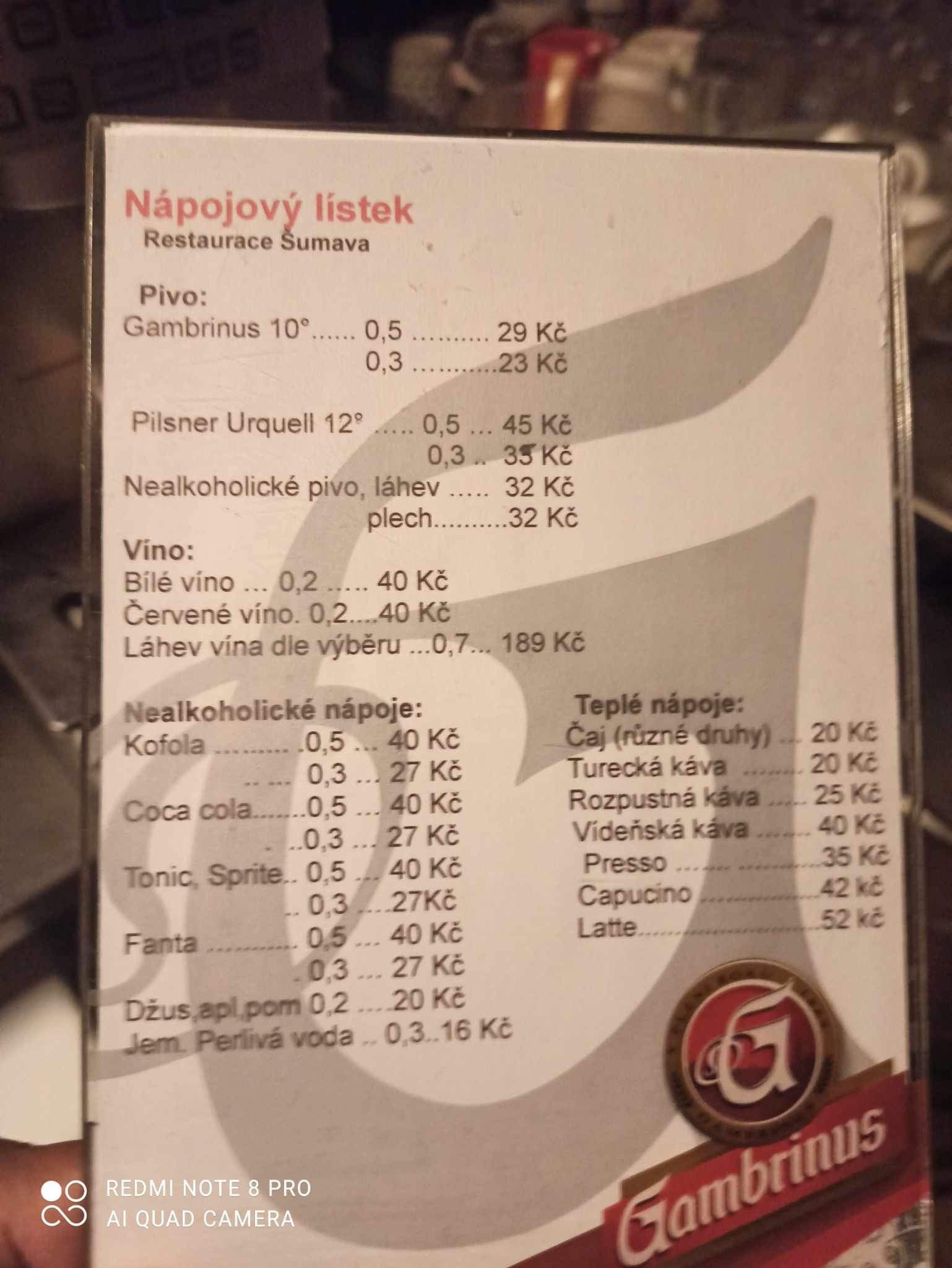 Restaurace Šumava Koloveč foto 3