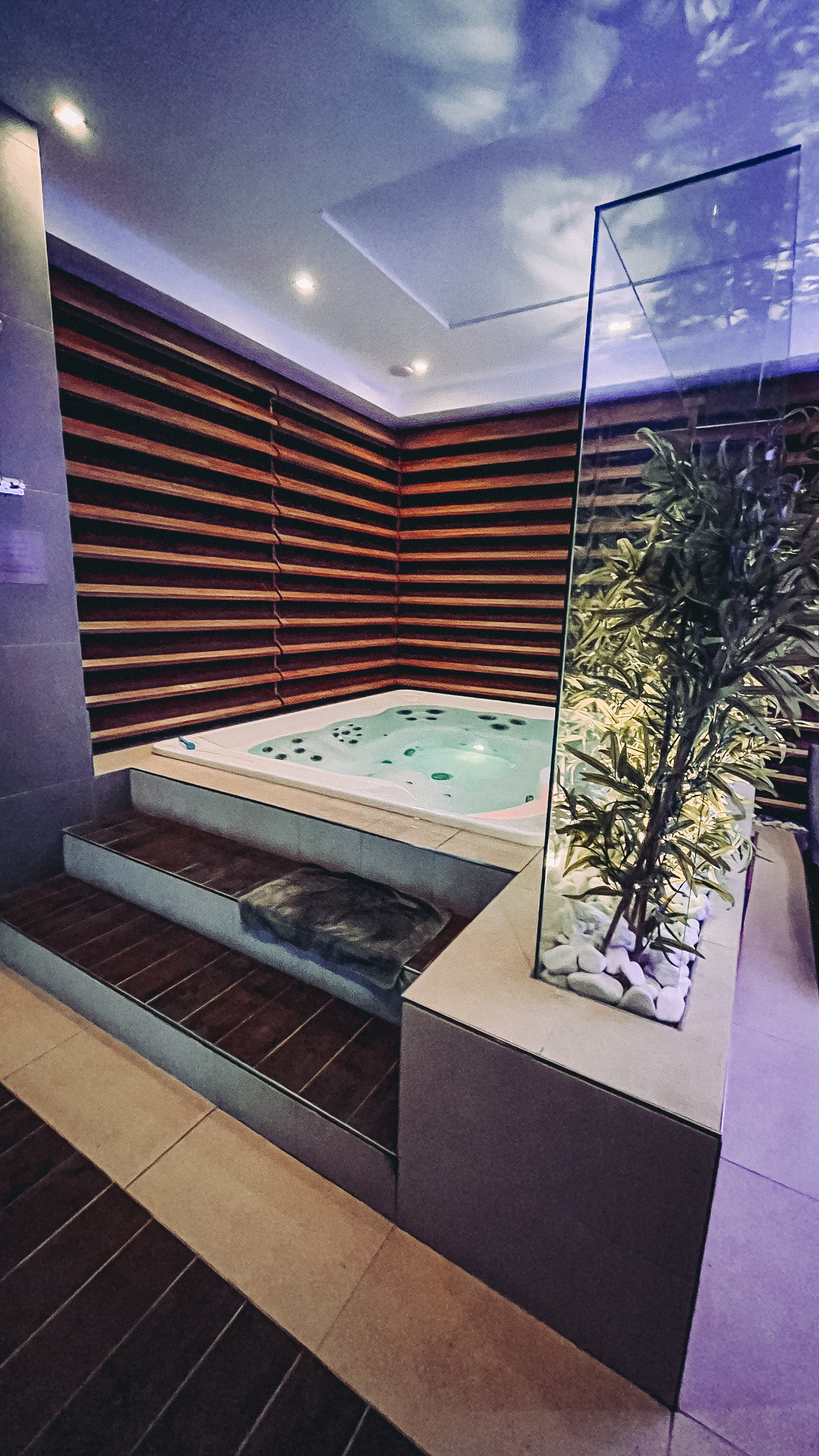 Wellness Hotel Alexander foto 4