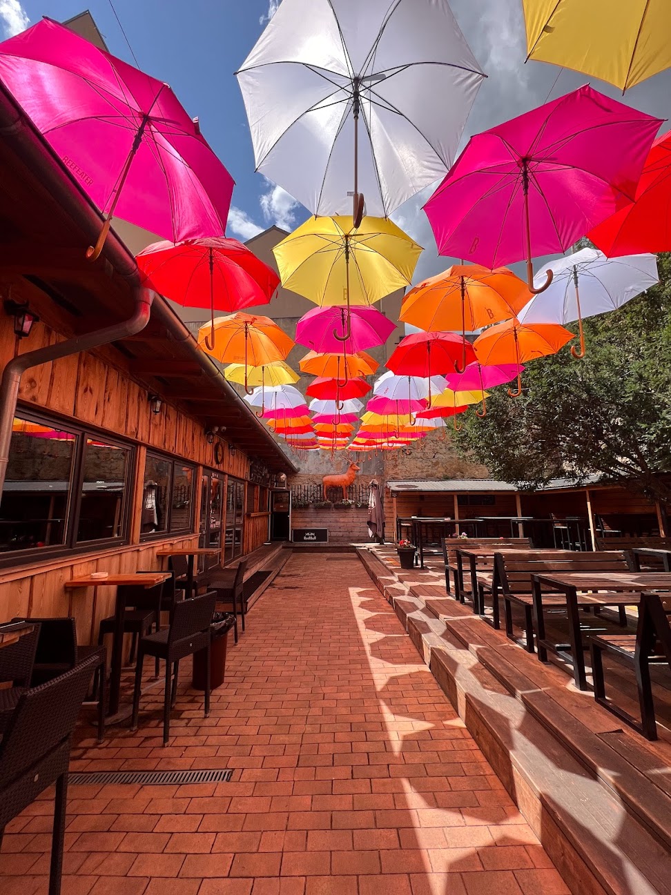 Jazz Rock Dominik Café foto 6