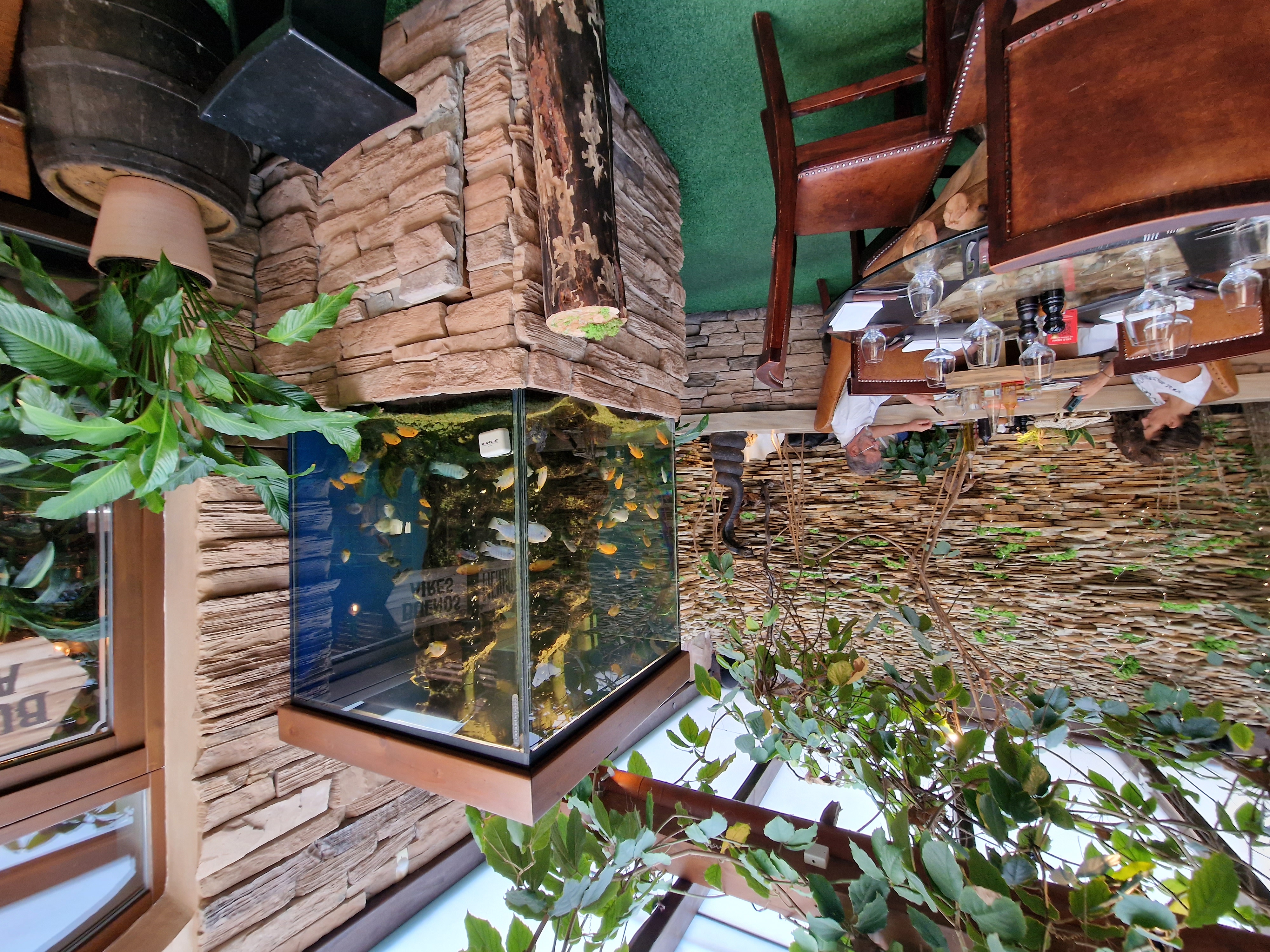 La Casa Latina - latino fusion restaurant. foto 6