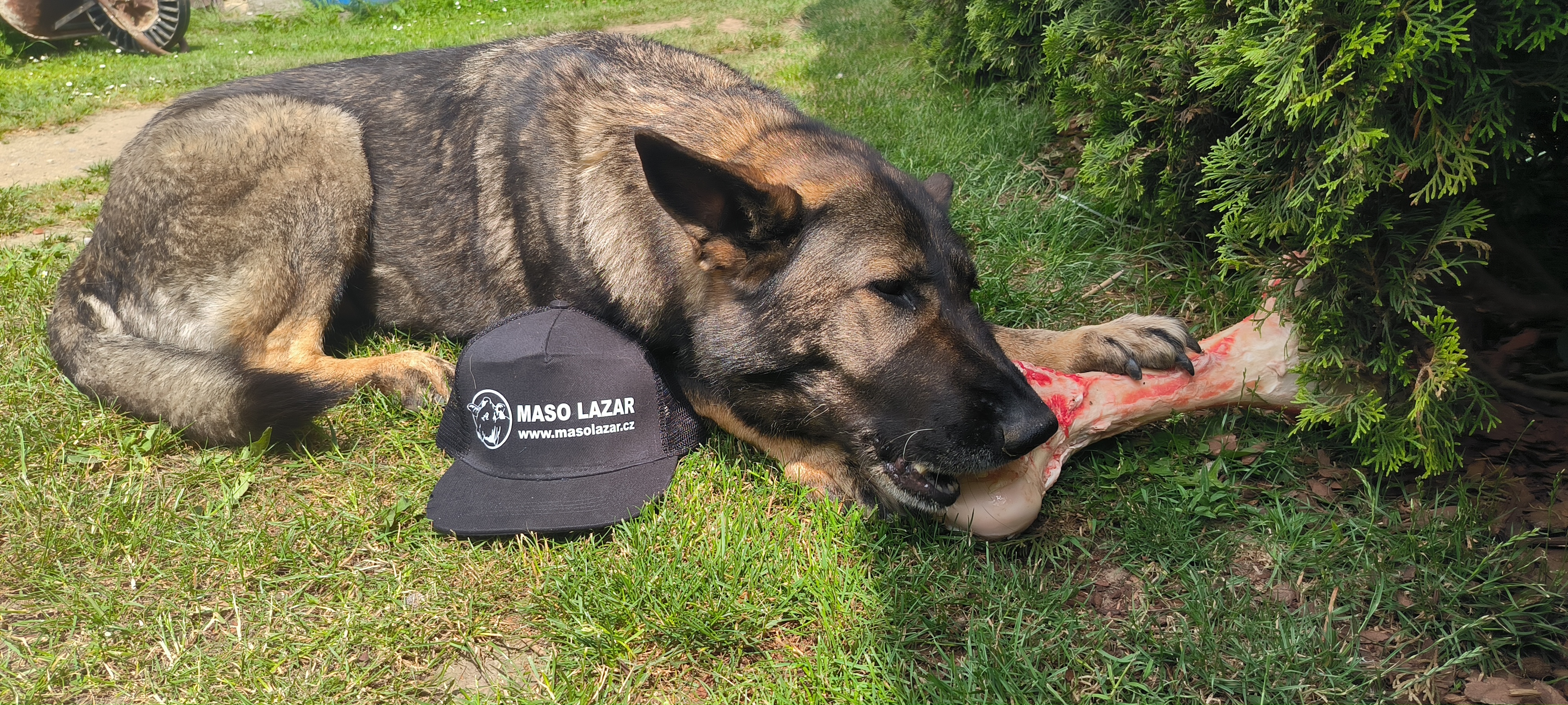 Matěj Lazar, Řeznictví a uzenářství foto 1