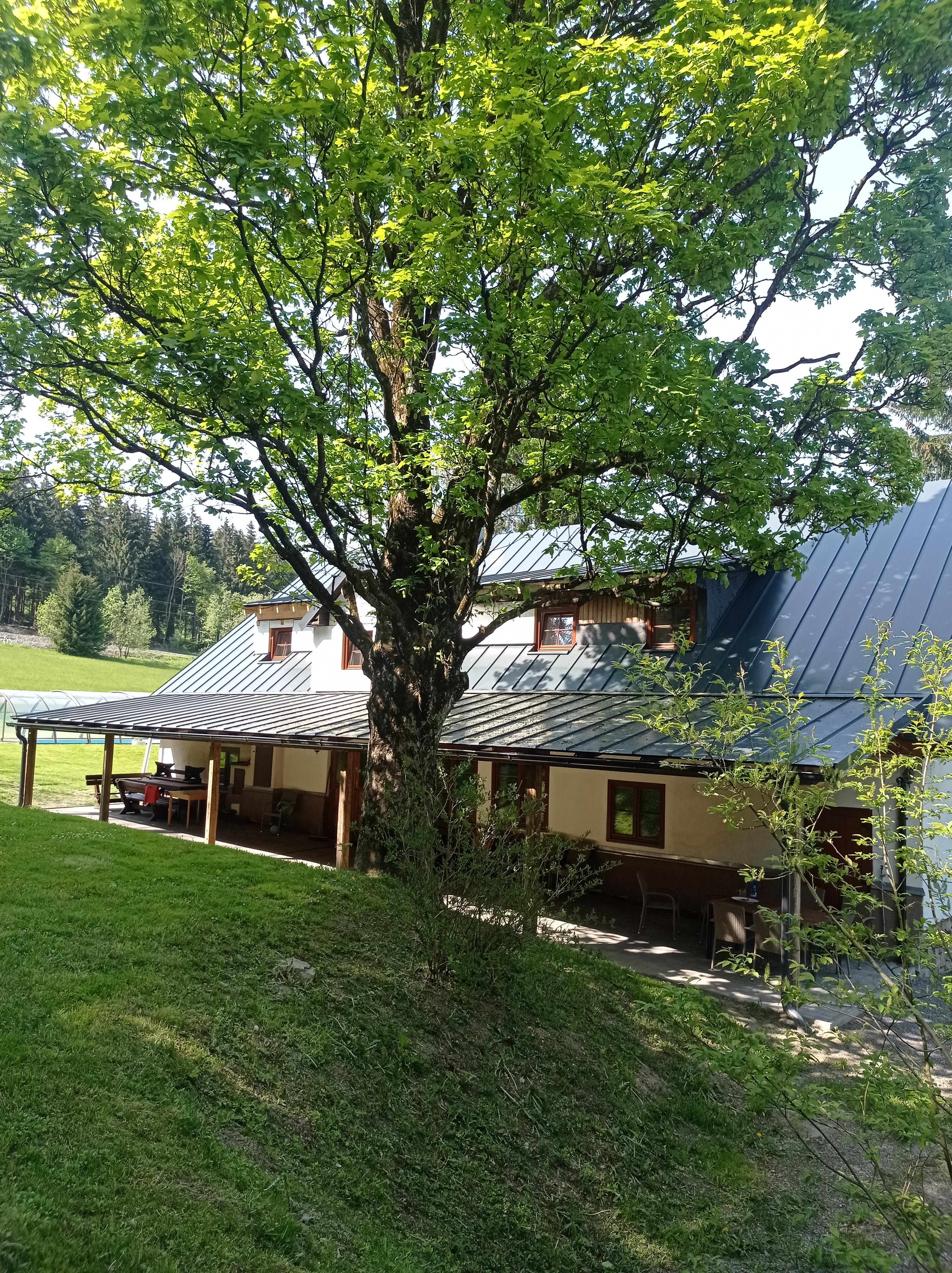 CHATA U JAVORU foto 2