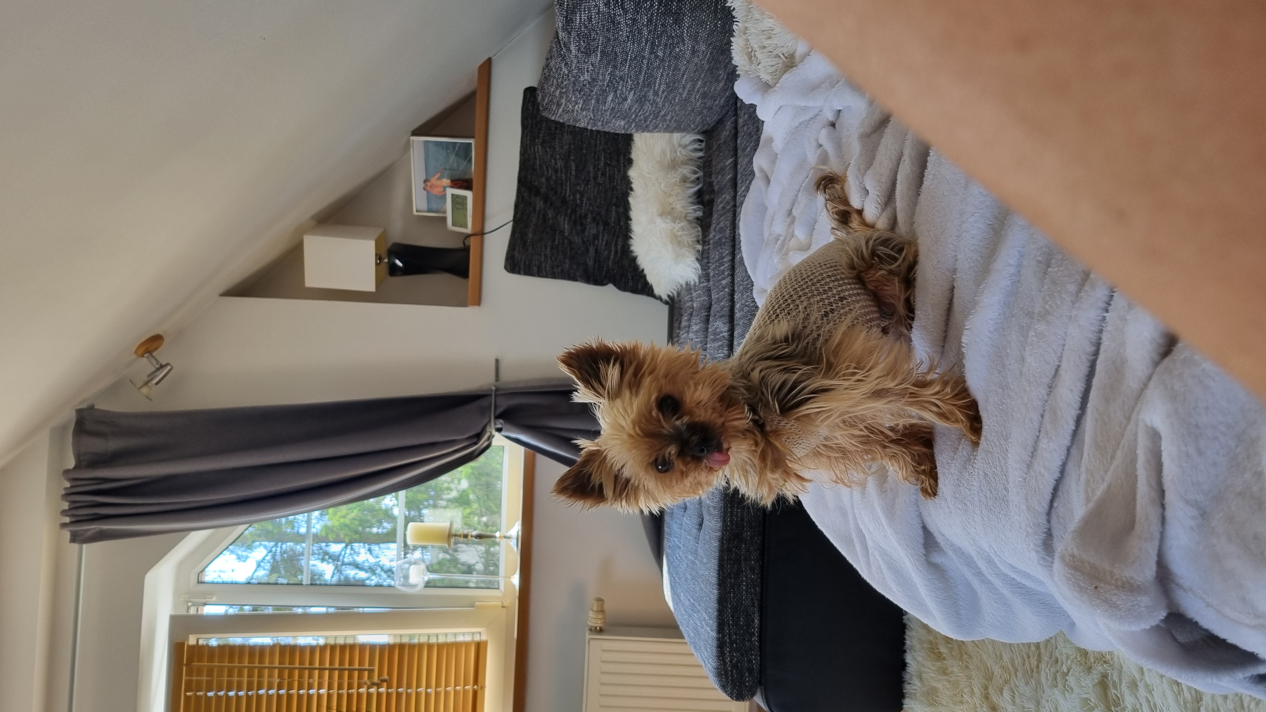 Veterinární ordinace MVDr. Barbora Rehová foto 3