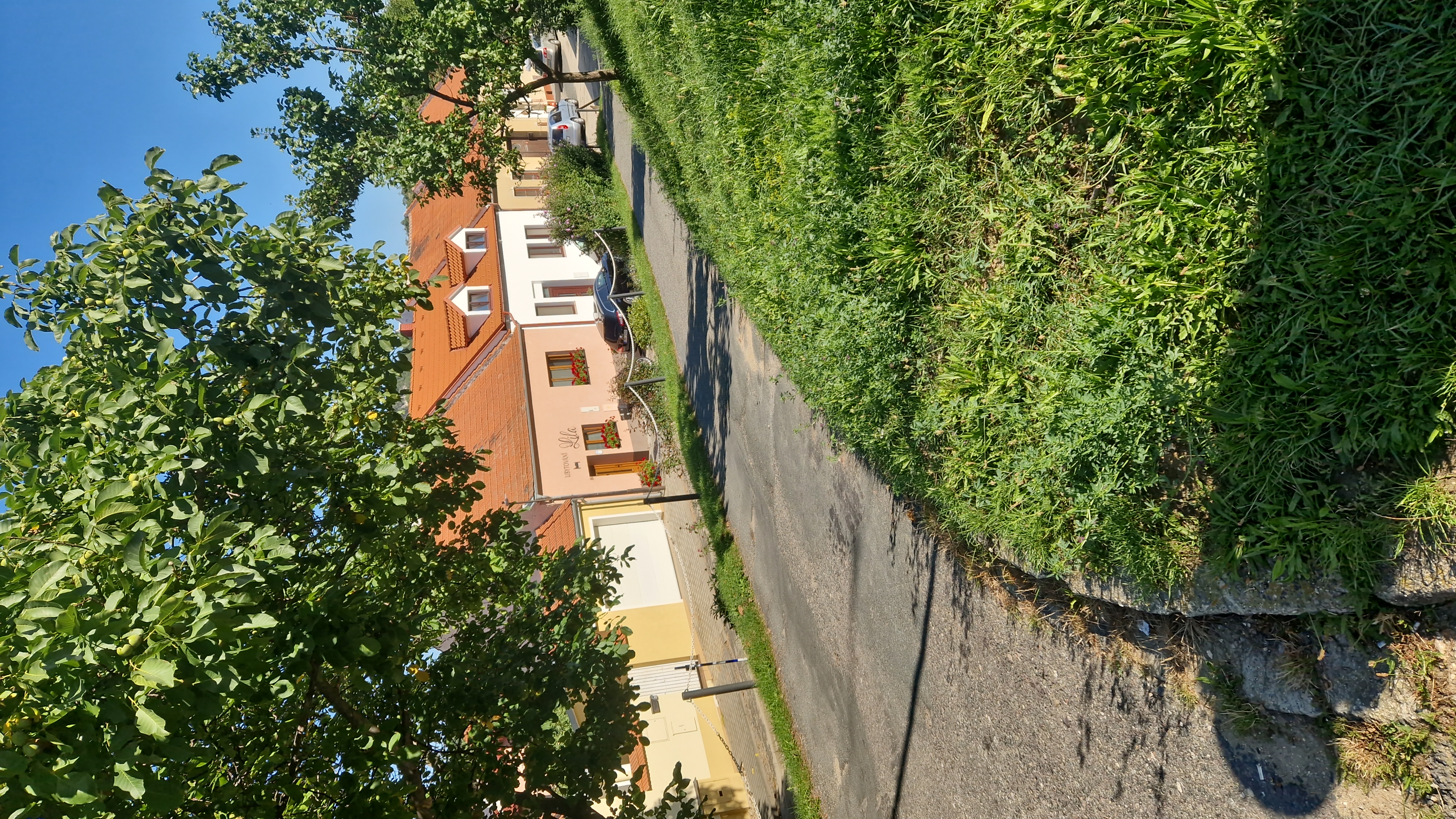 Ubytování LILA foto 1