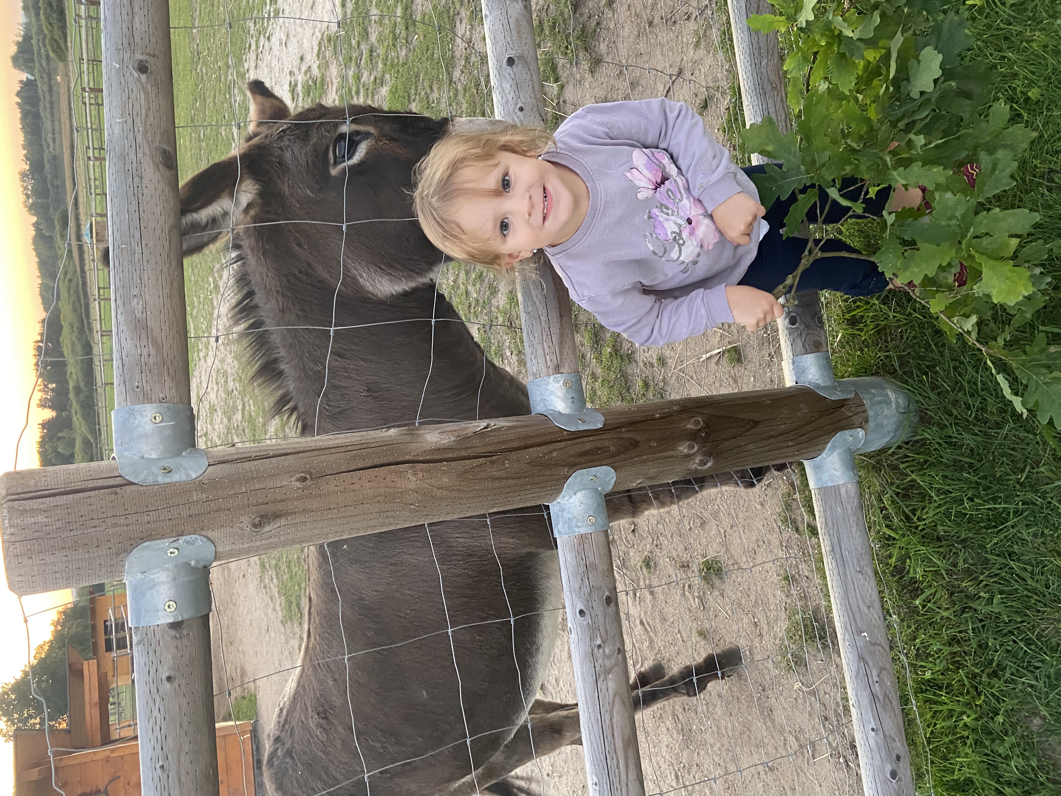 Wellness zoo apartmány Lhota foto 5