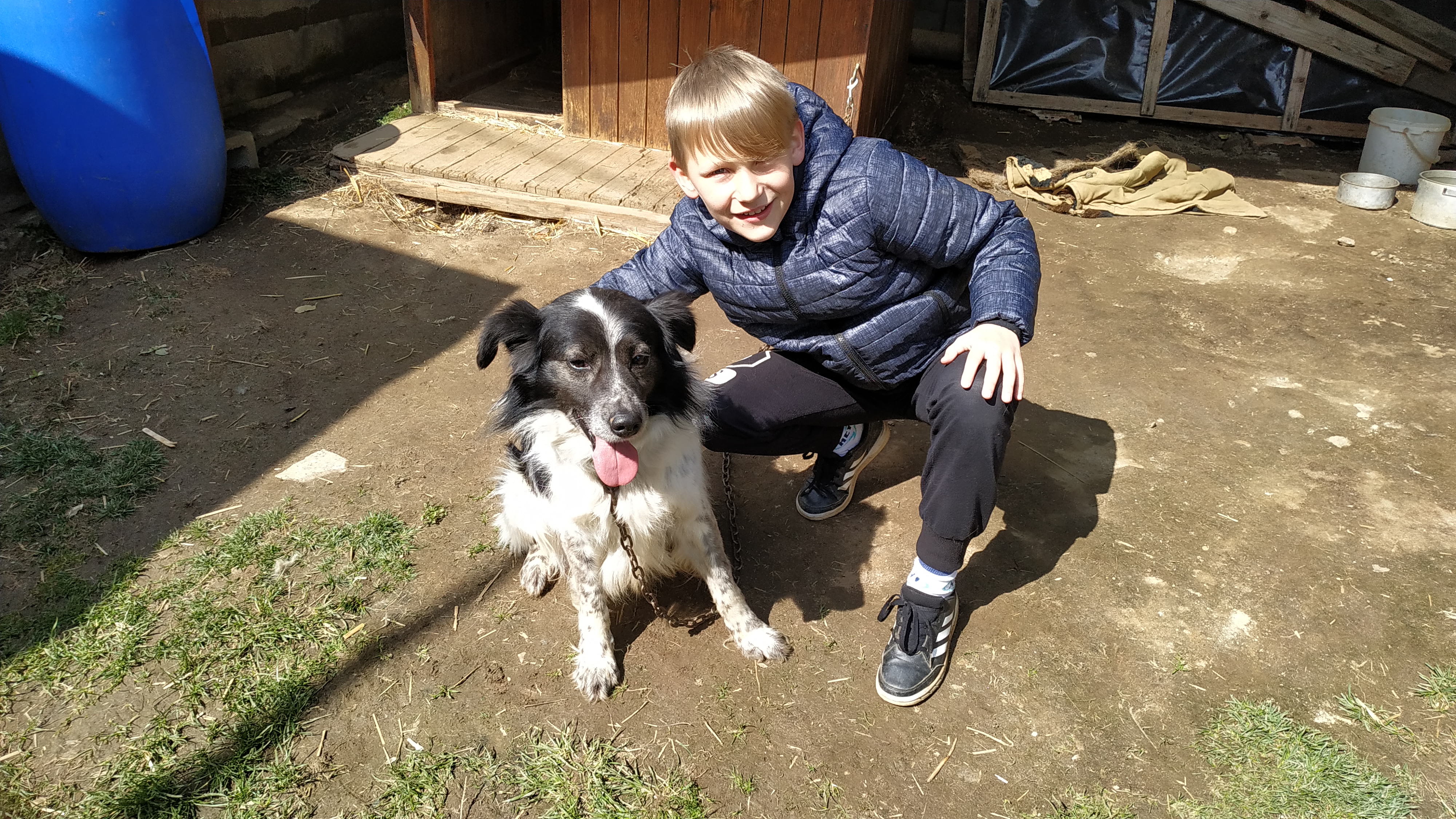 Psí útulek Kolín foto 2