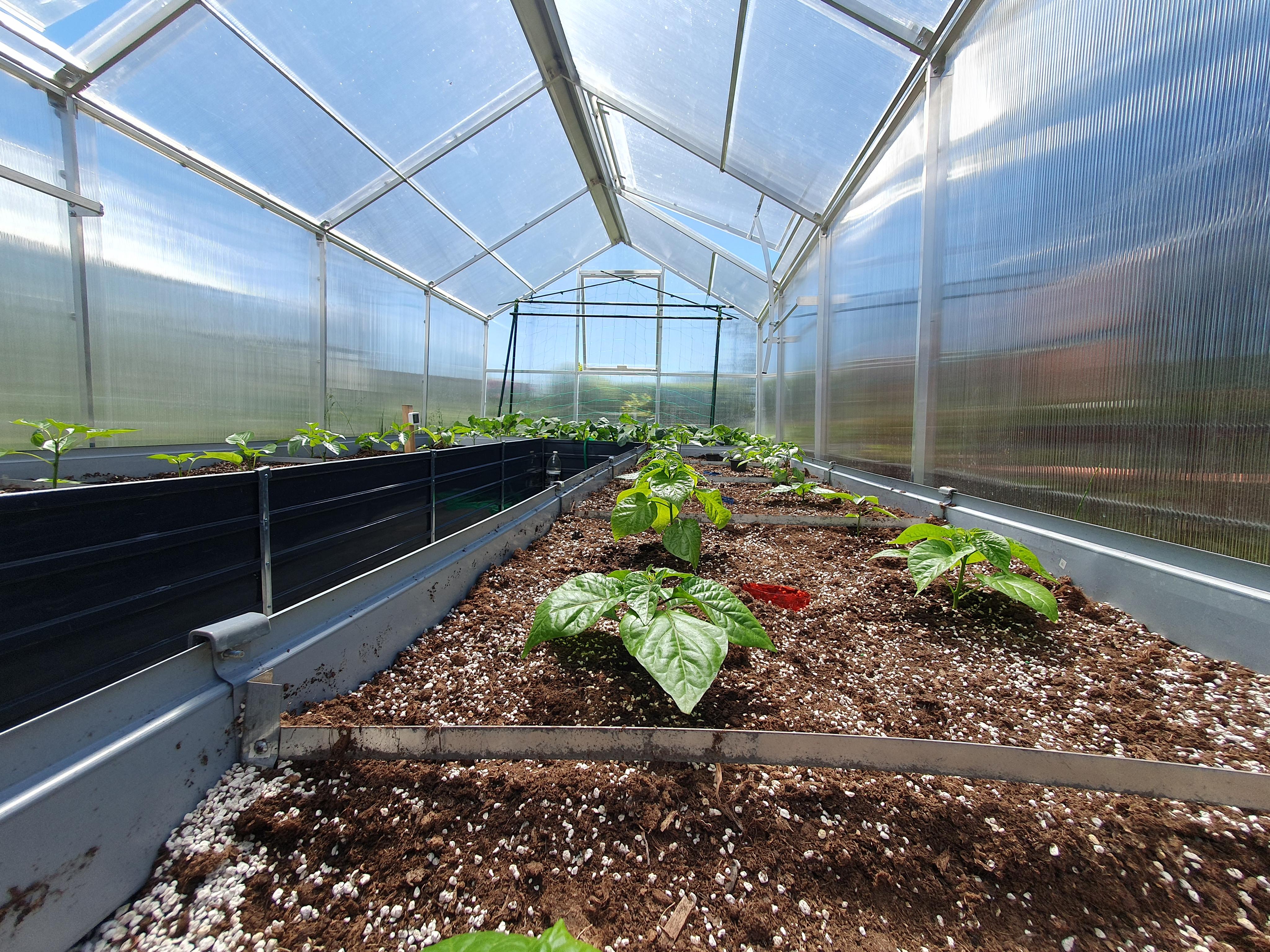 České skleníky Hladík foto 2