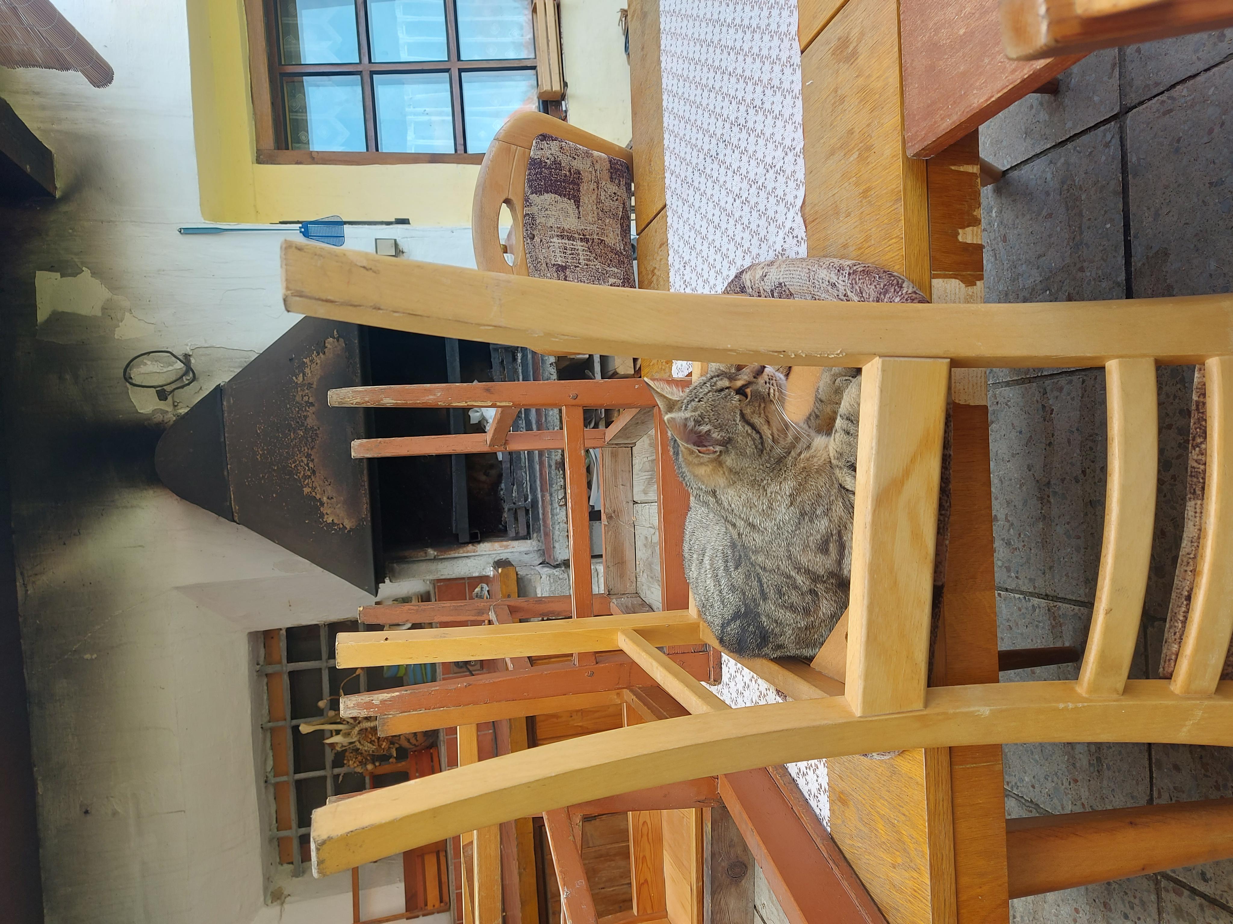 Pohoda u Crhů Senožaty foto 3