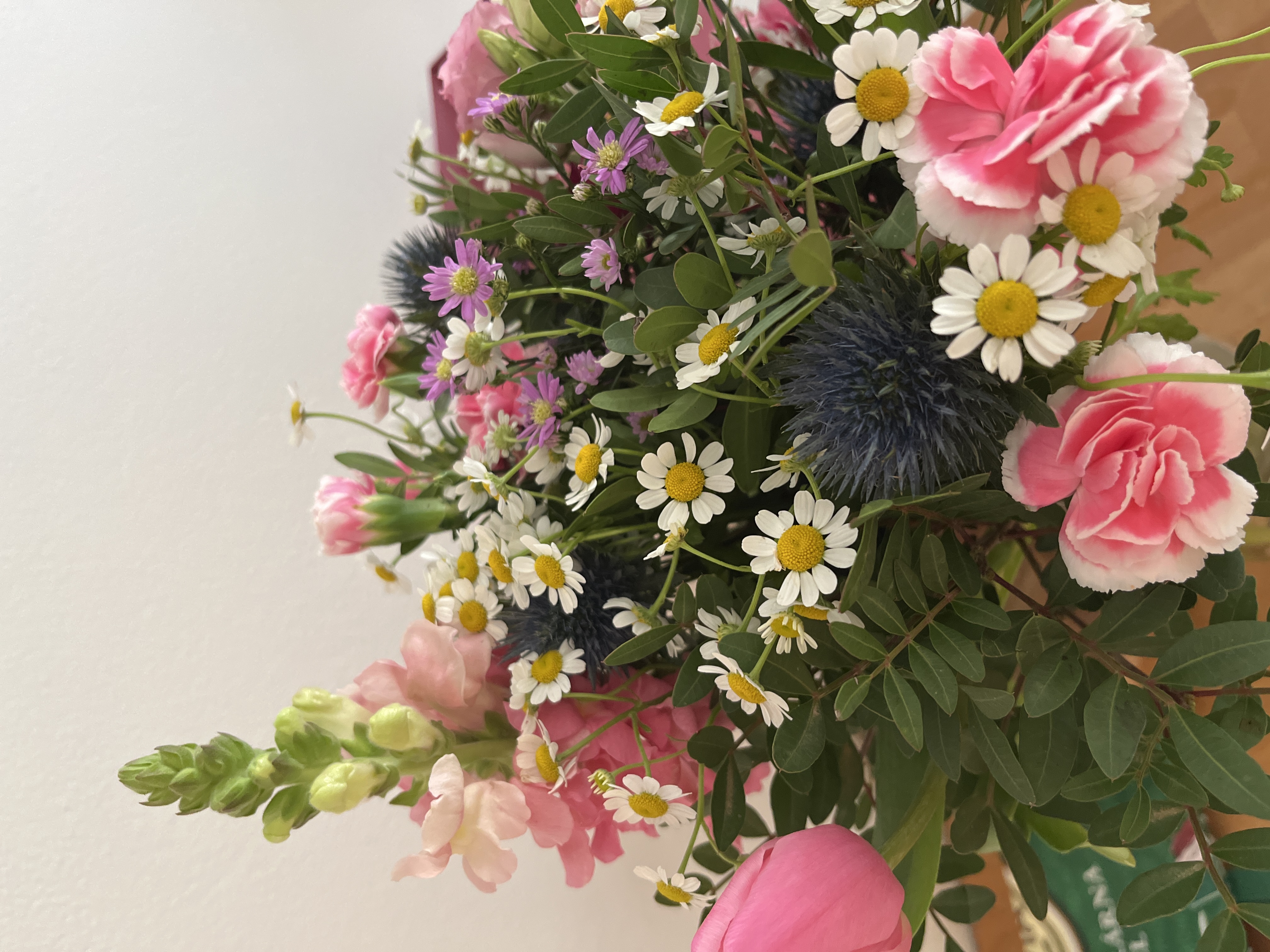 KYTKY OD PEPY foto 3