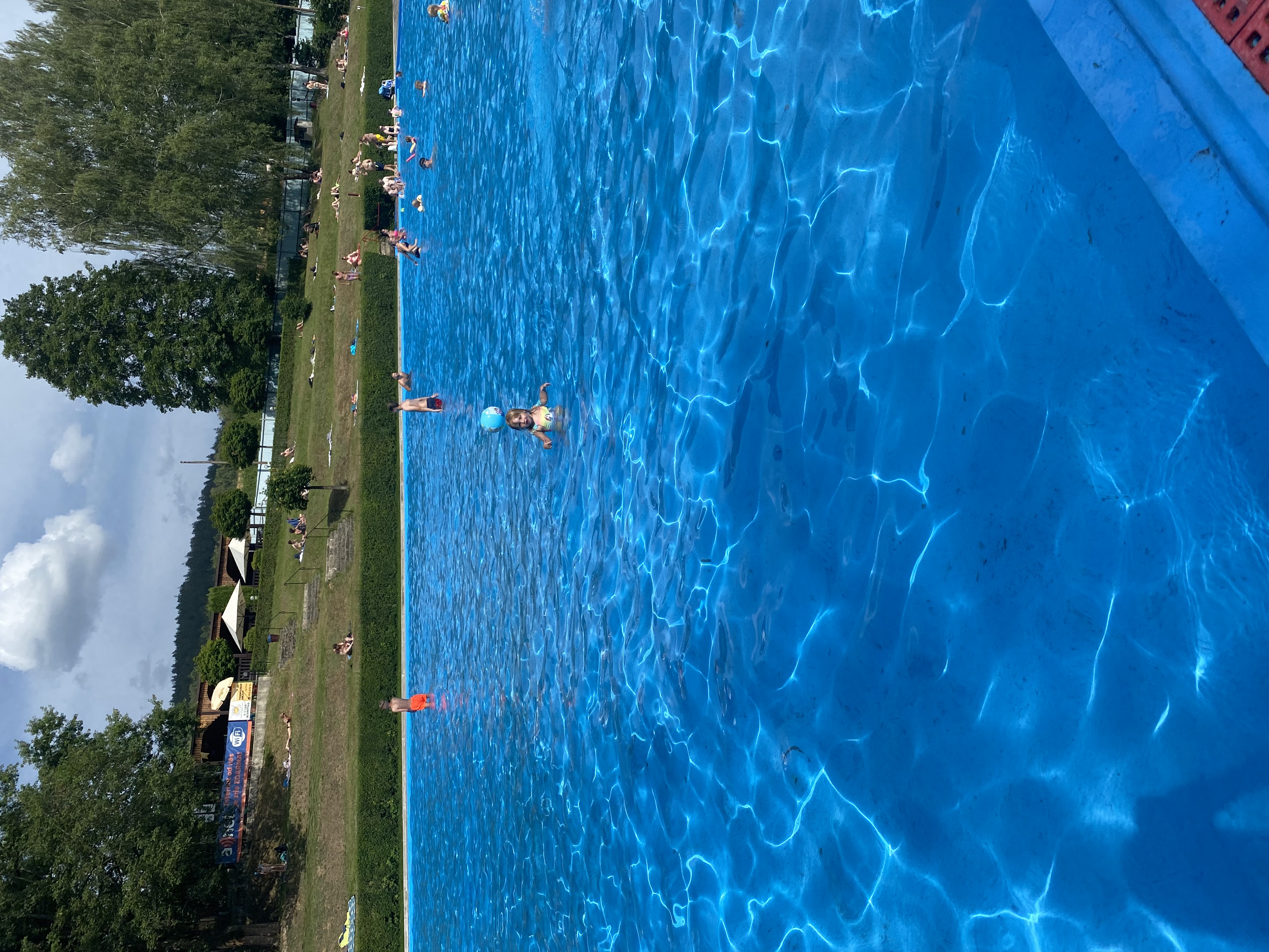 Sluníčko foto 2