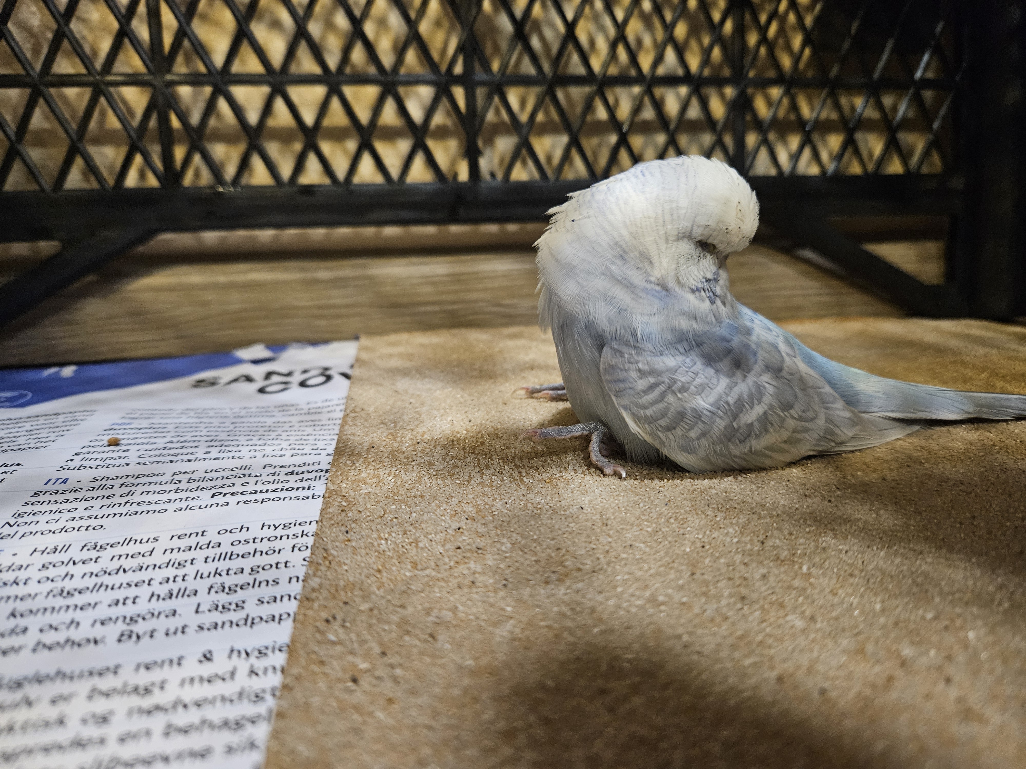 Veterinární klinika Mada foto 2