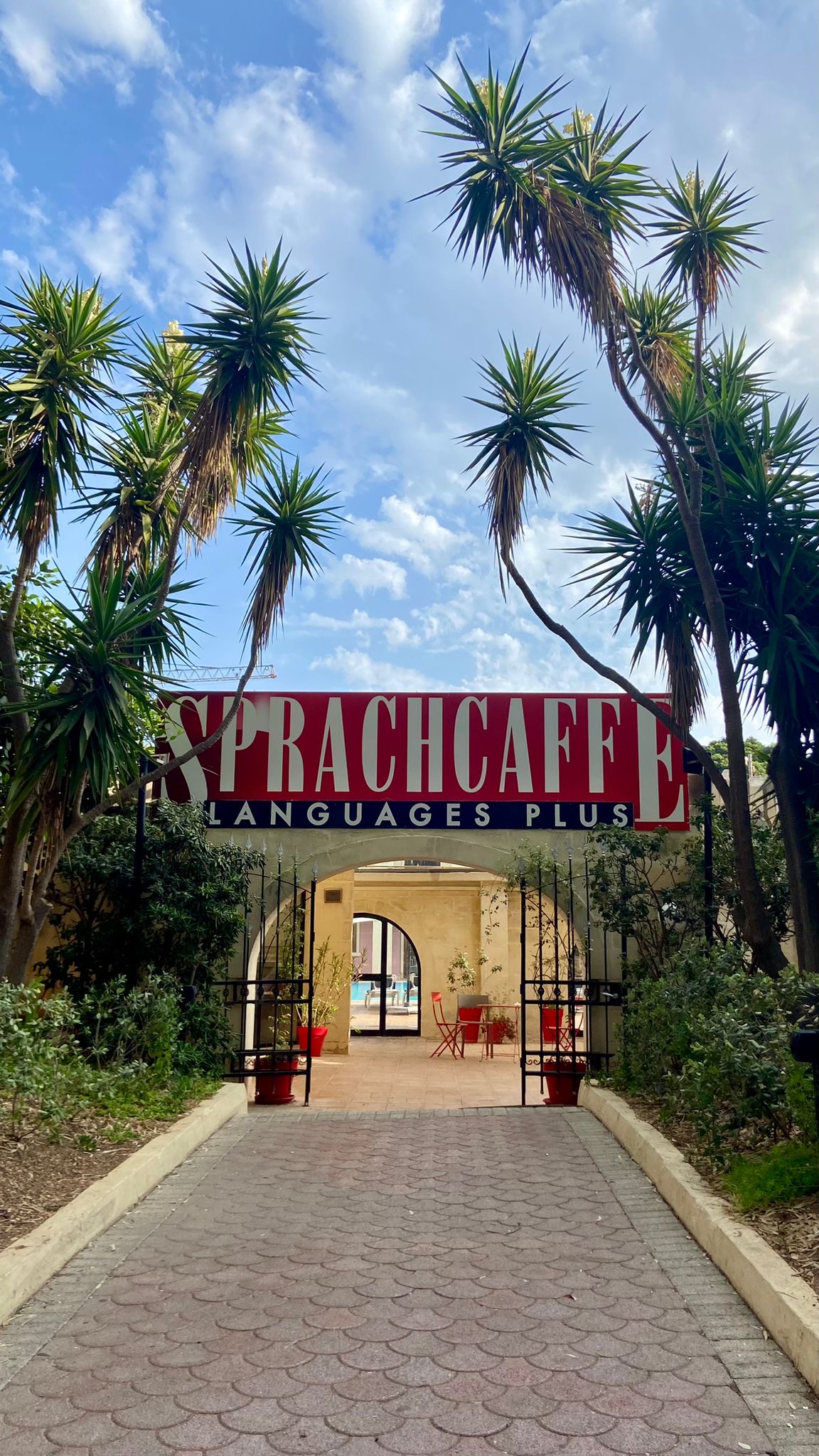 Agentura a jazyková škola STUDYLINE foto 6