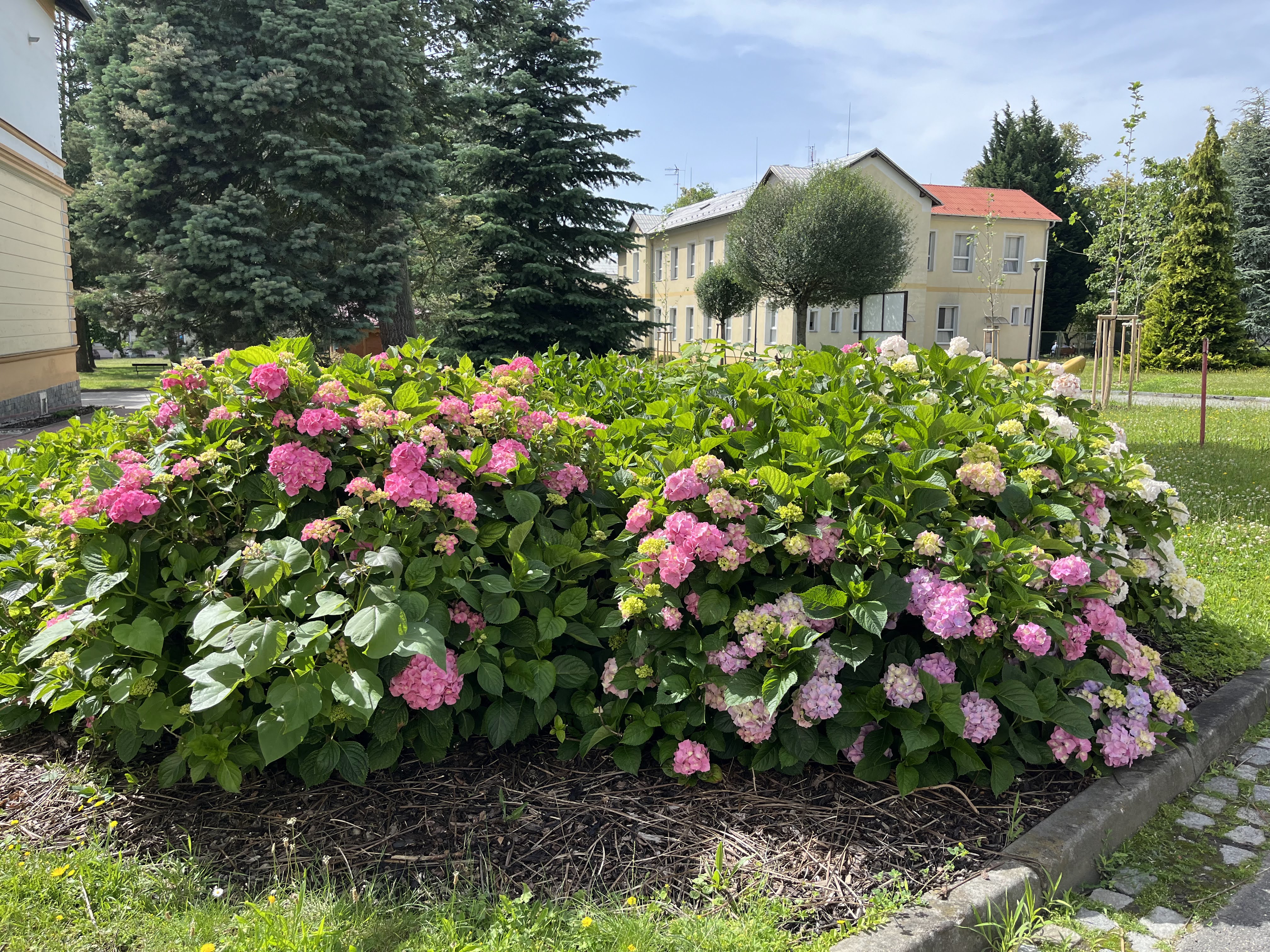 Psychiatrická léčebna Šternberk foto 3