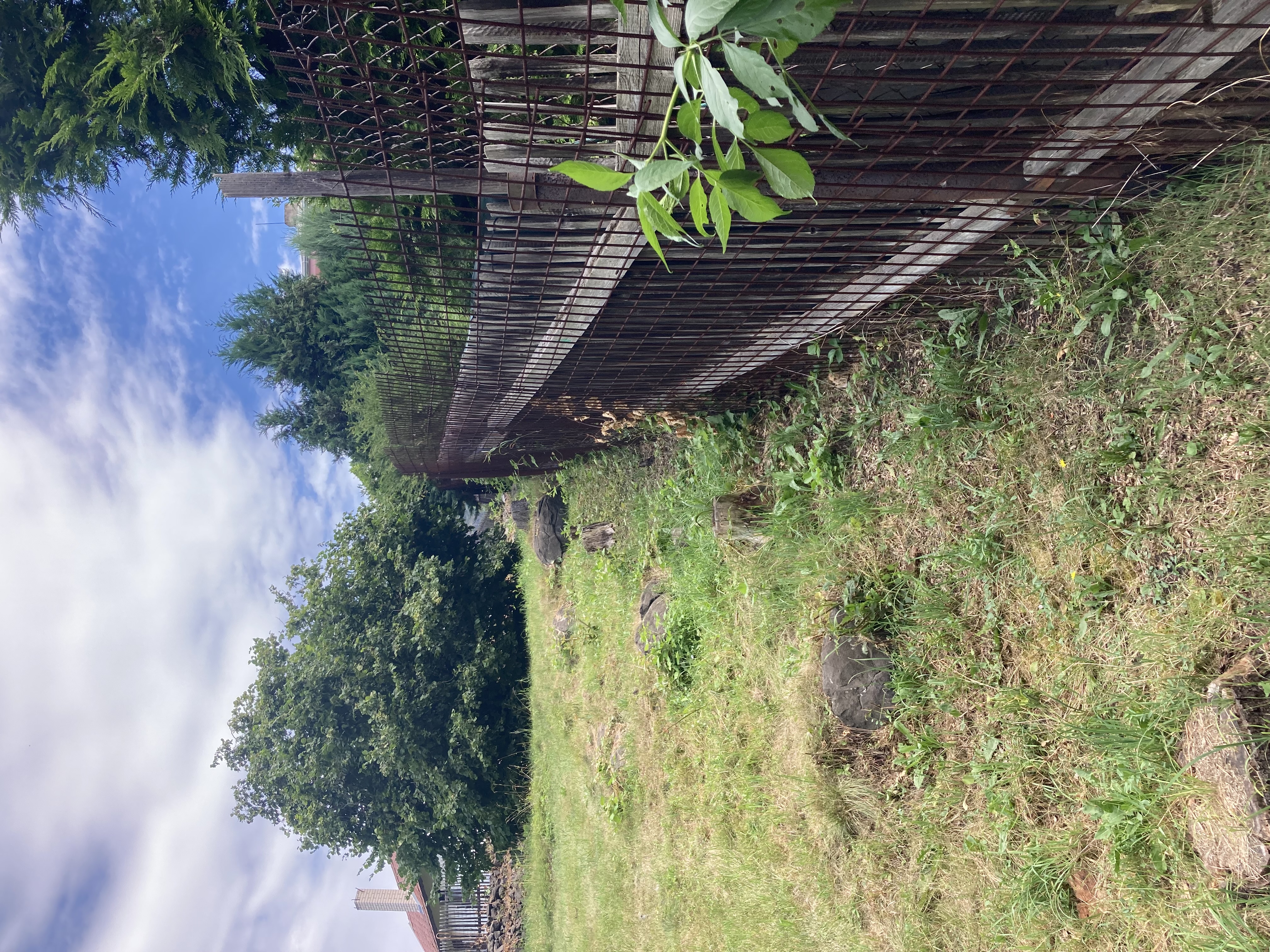 Stavební práce od A do Z Marie Janová foto 2