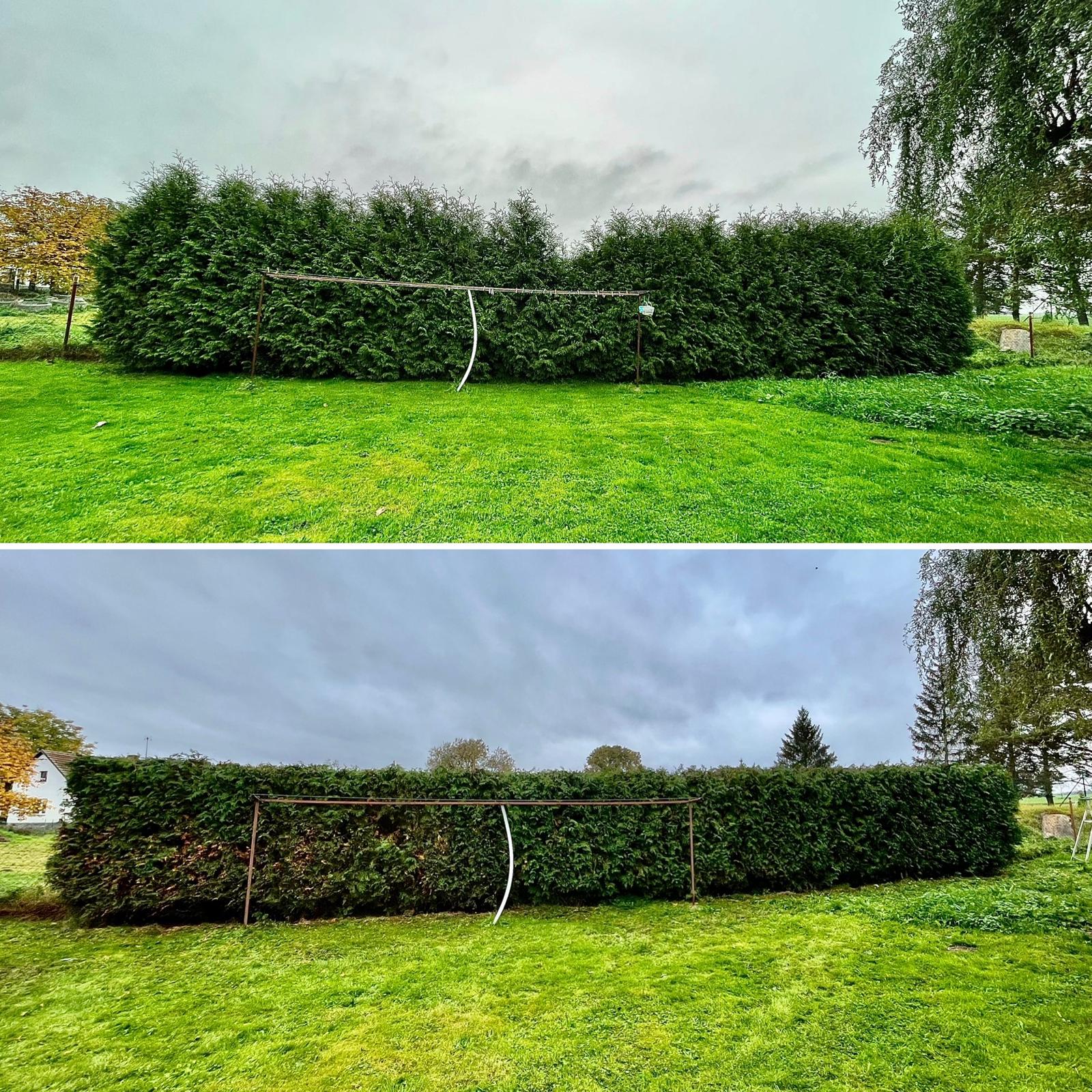 Rizikové kácení Setvín - Rikas.cz foto 4