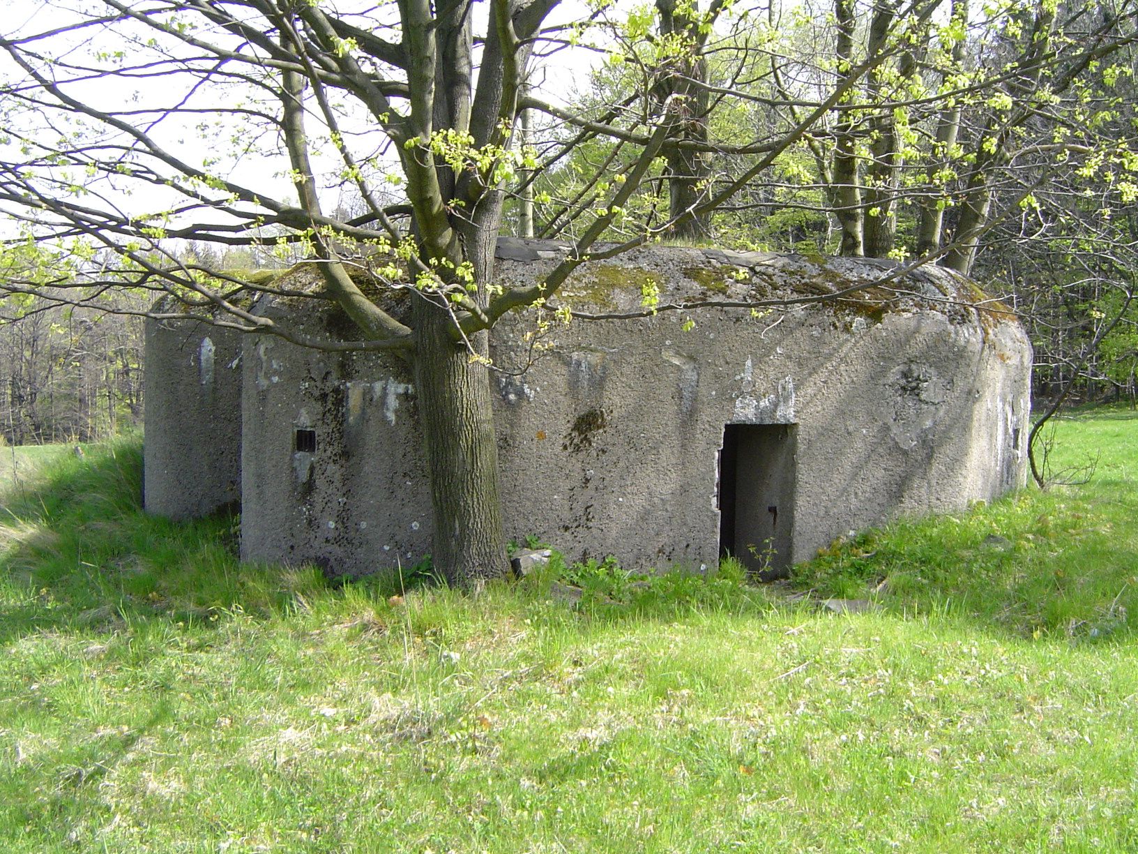 SC1GSq.jpeg?fl=res,2200,2200,1