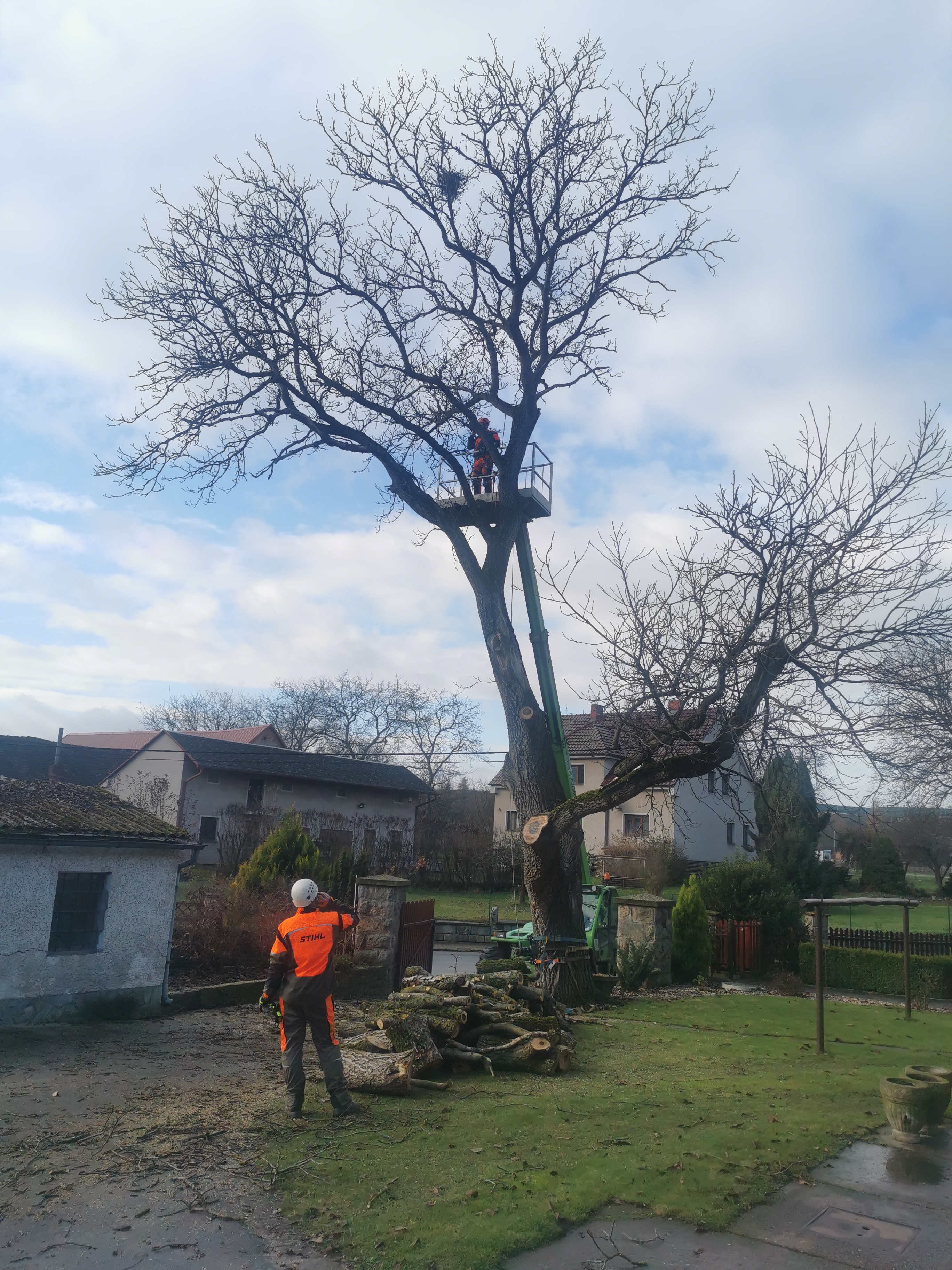 Kácení-Dušek foto 5