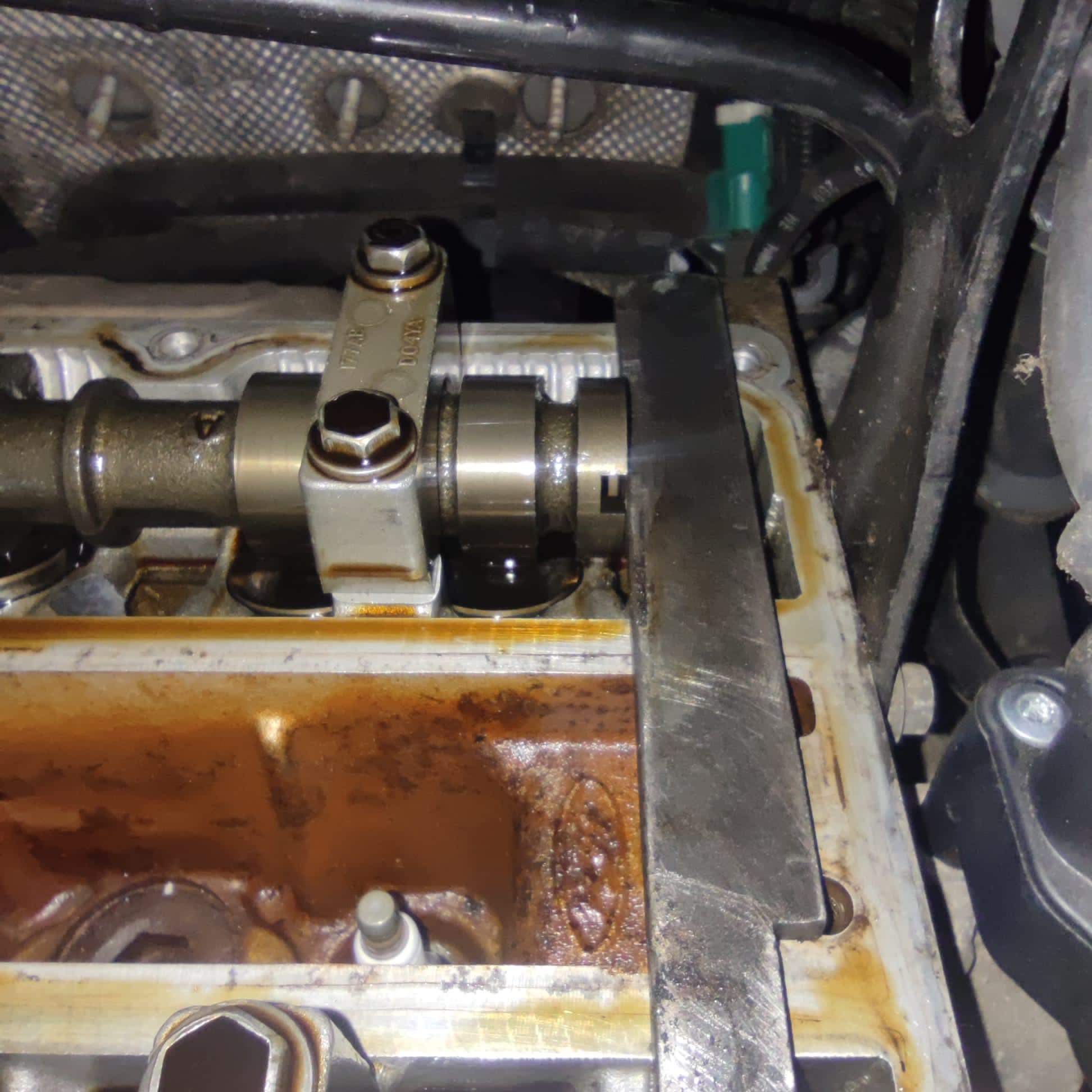 MARA Martina Chaloupková foto 2