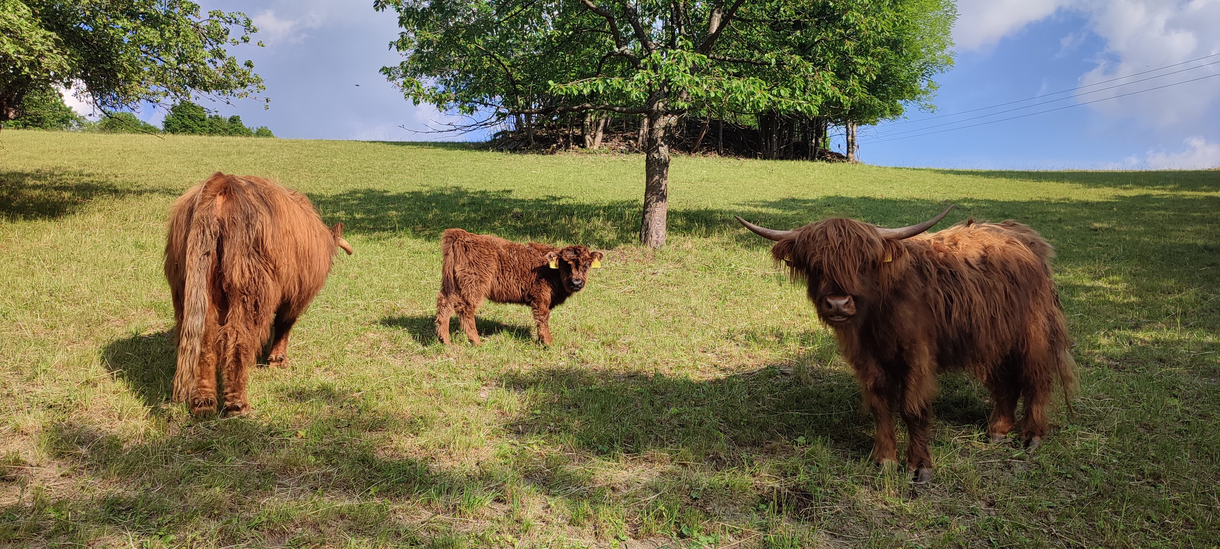 Malá Farma Spálensko - Bratrouchov foto 4