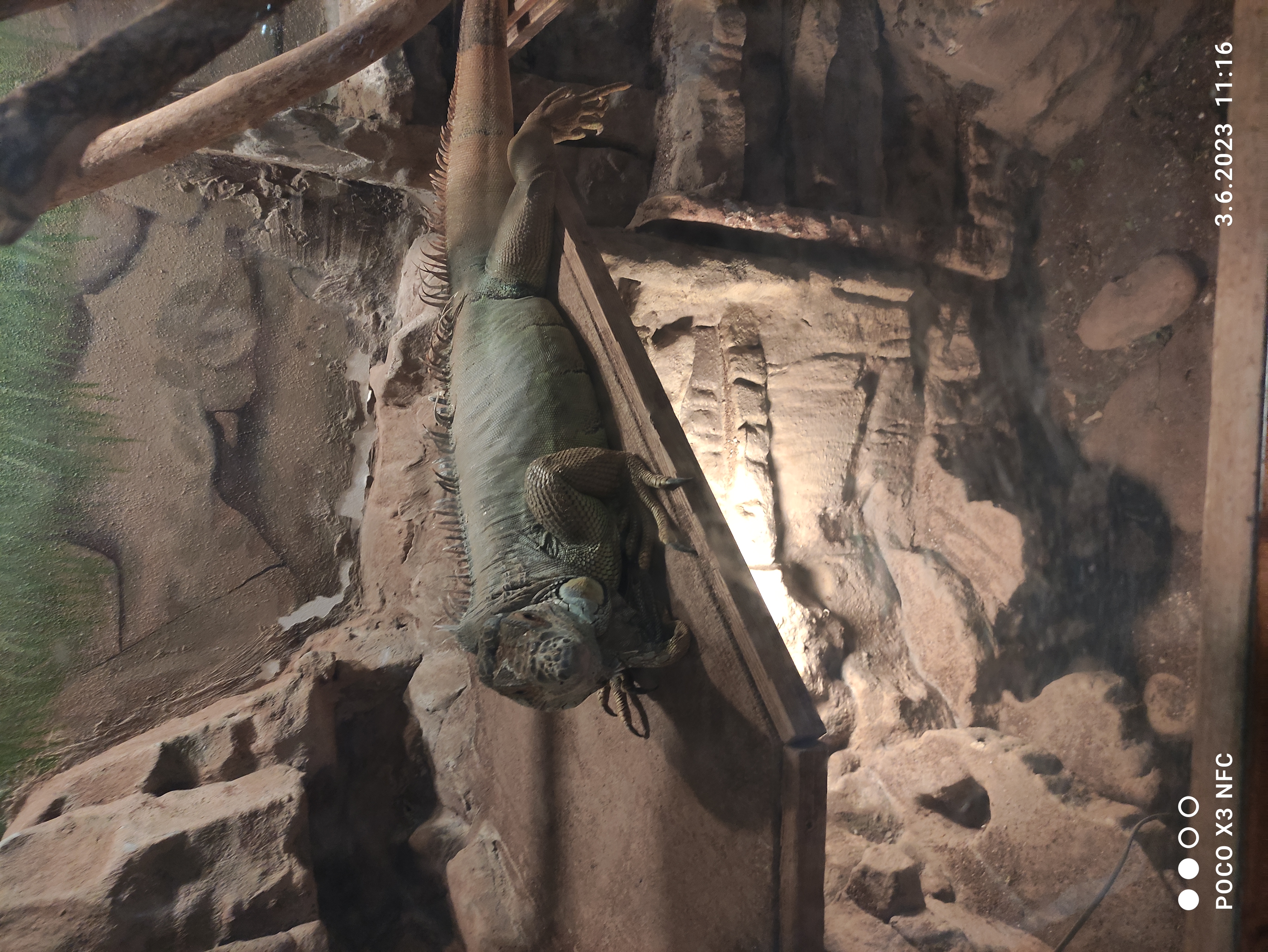 Cukrárna a Kavárna Promenáda foto 4