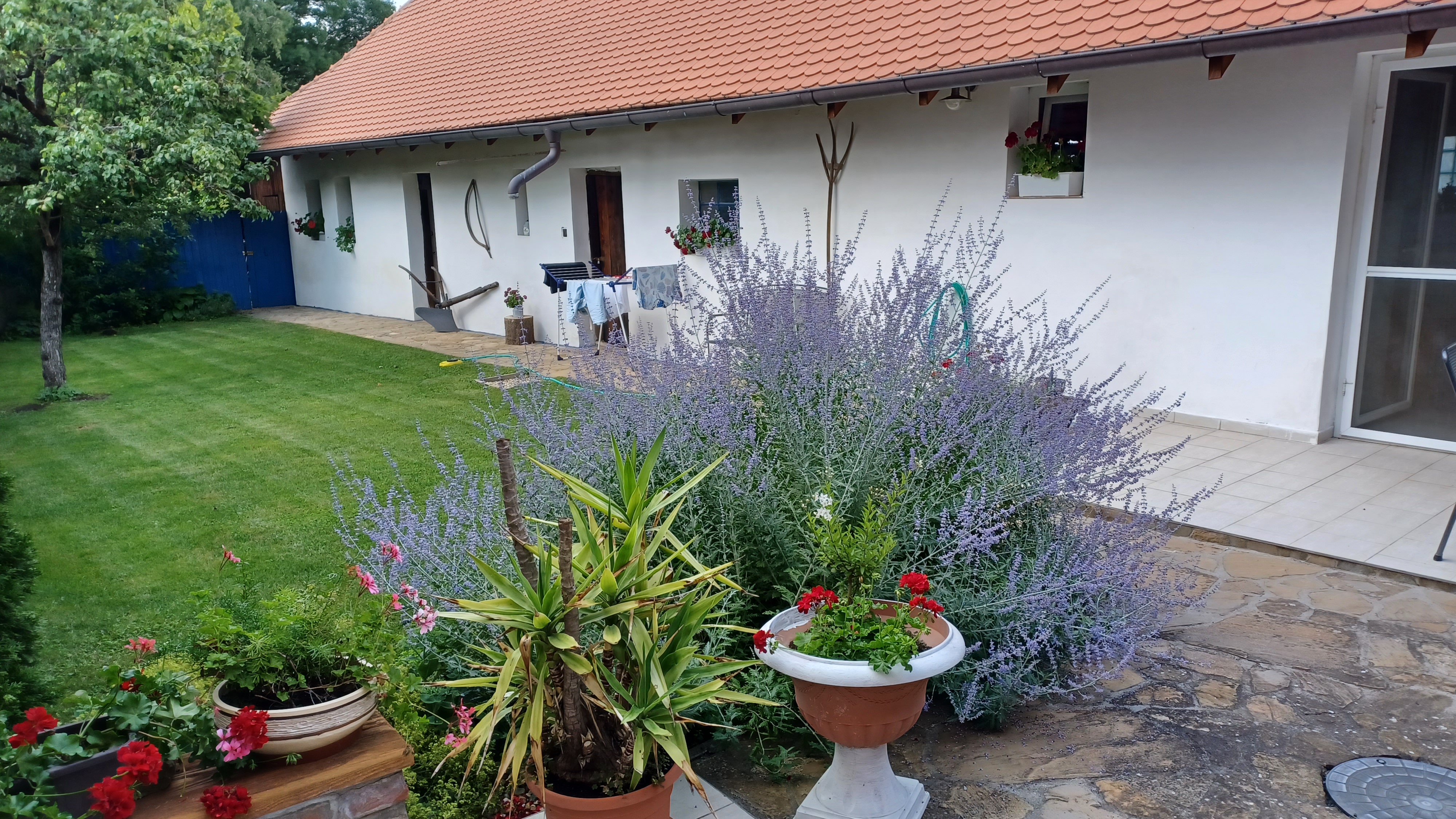 Slovácká chalupa foto 6