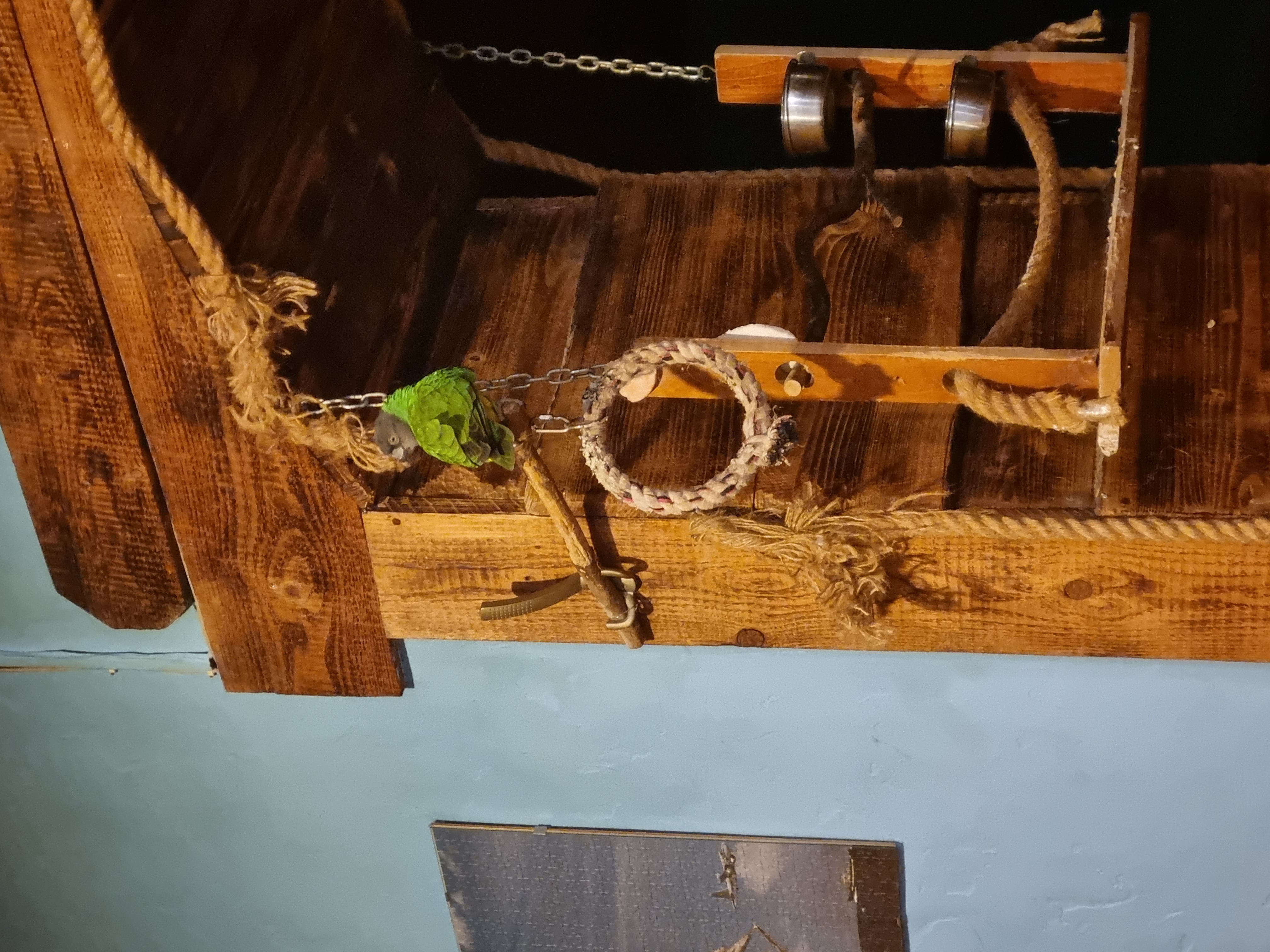 Pizzerie Balcanica foto 2