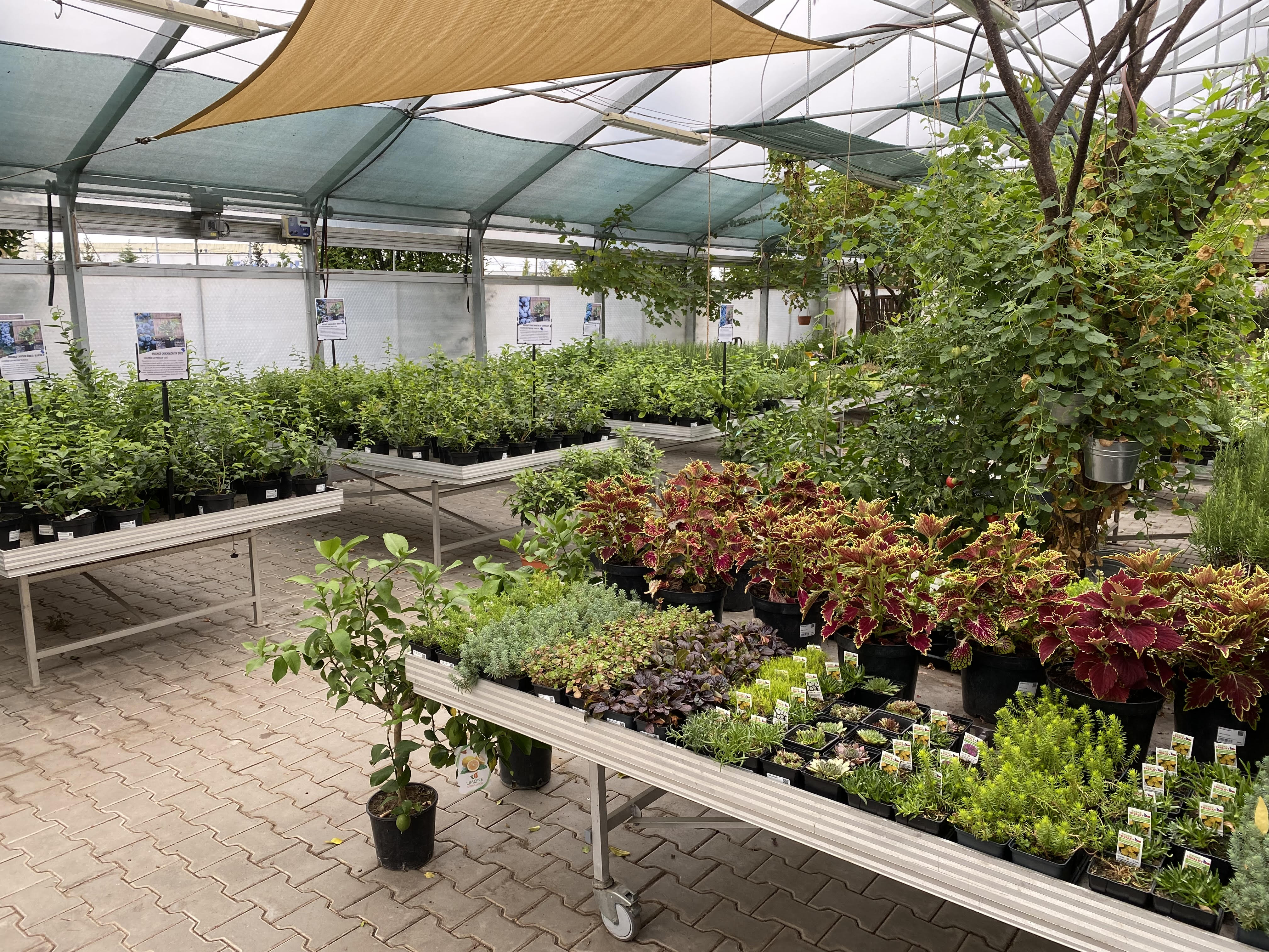 Zahradnictví Plzeň foto 5