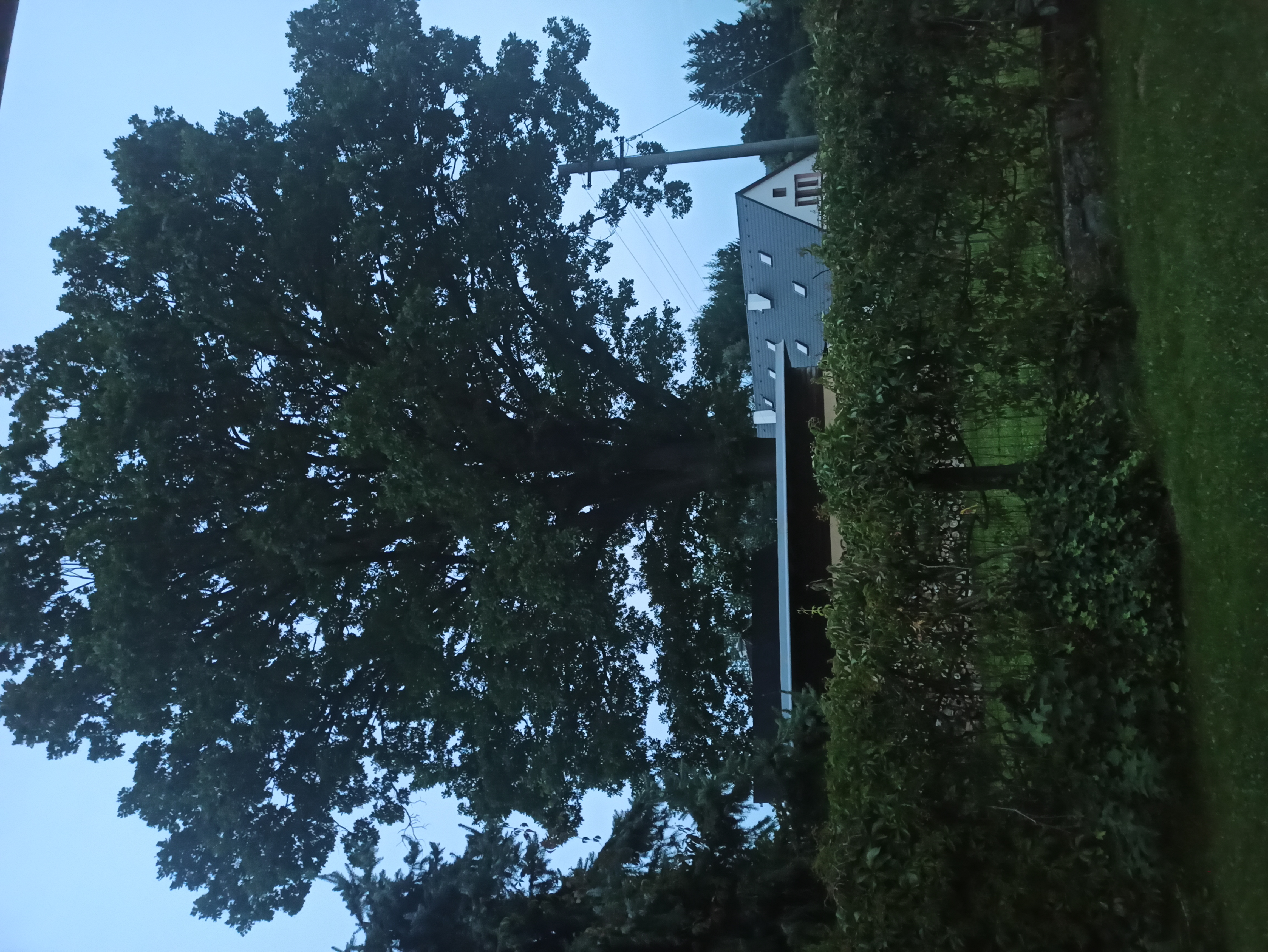 Ubytování Pod starým dubem foto 1