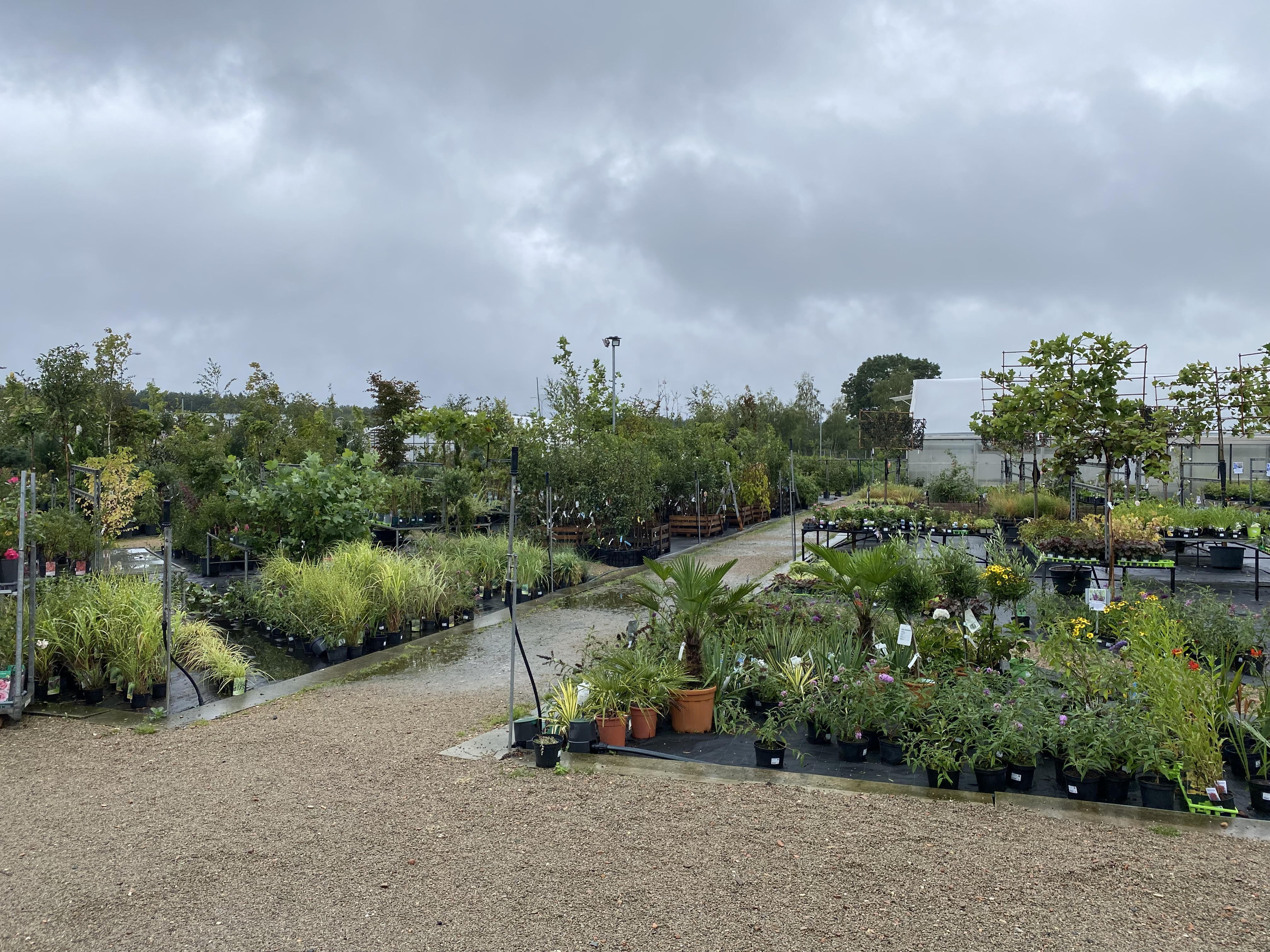 Zahradnictví Plzeň foto 4