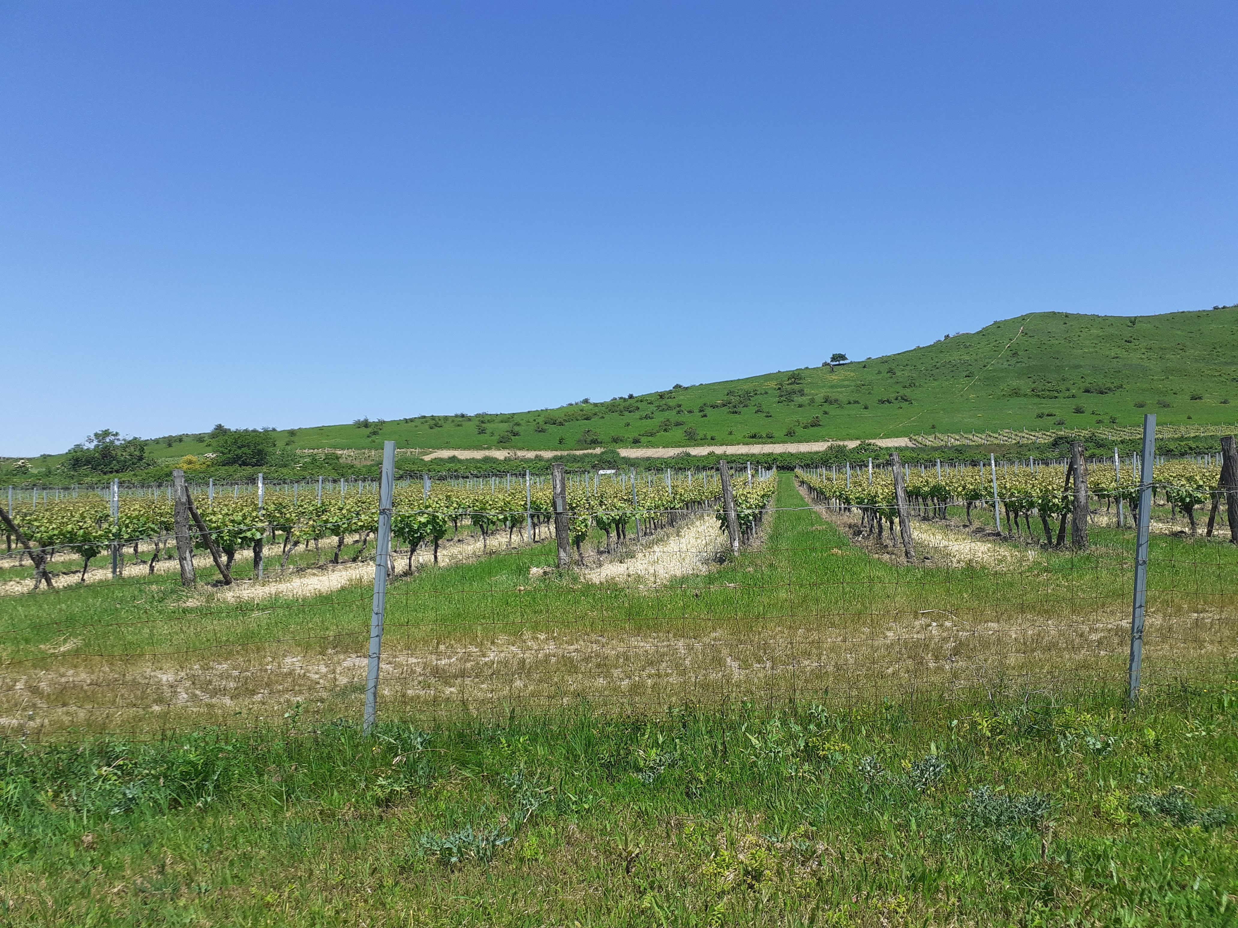 Pension Pěnčík foto 5