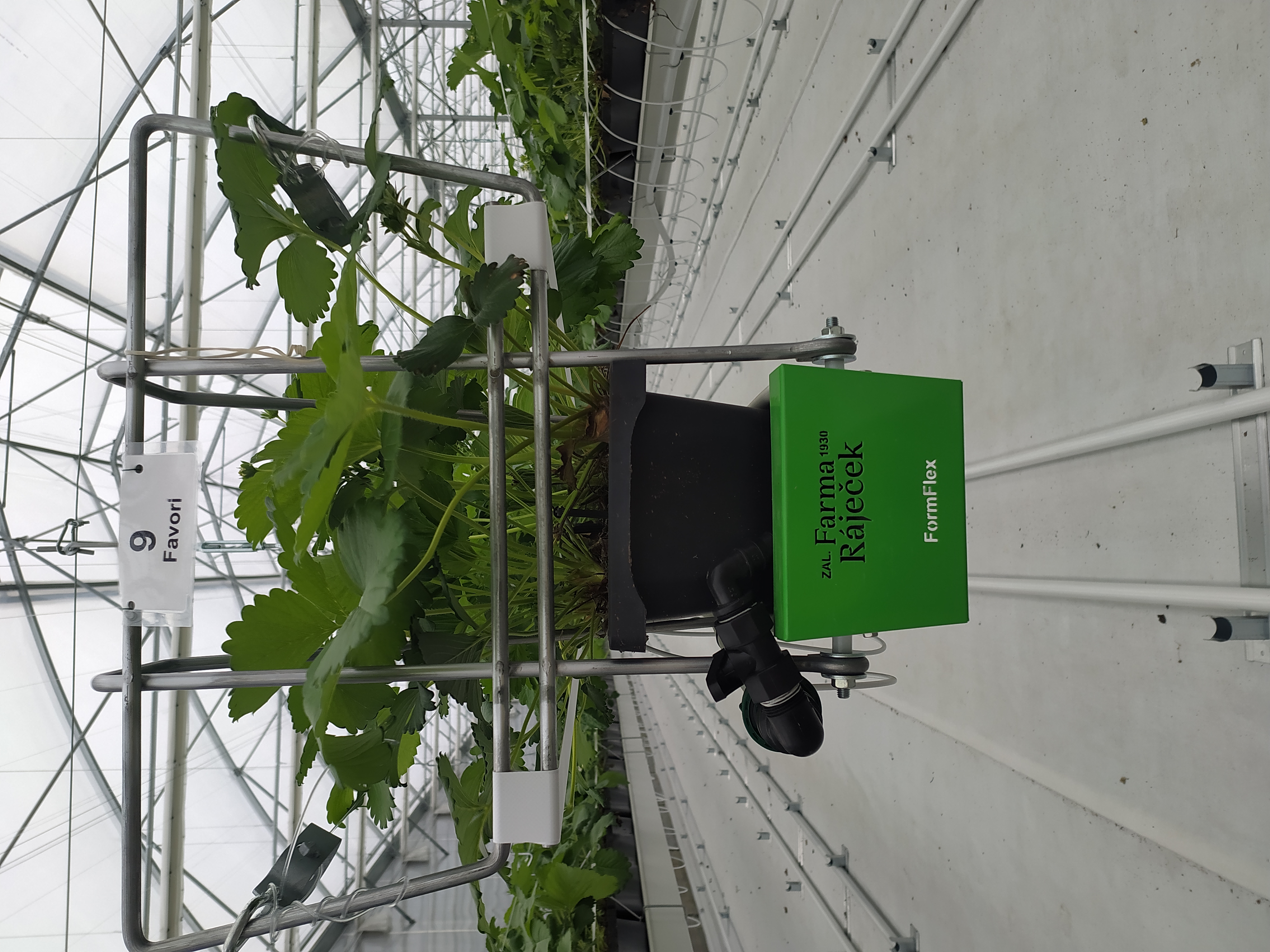 Farma Ráječek - velkoobchod foto 5