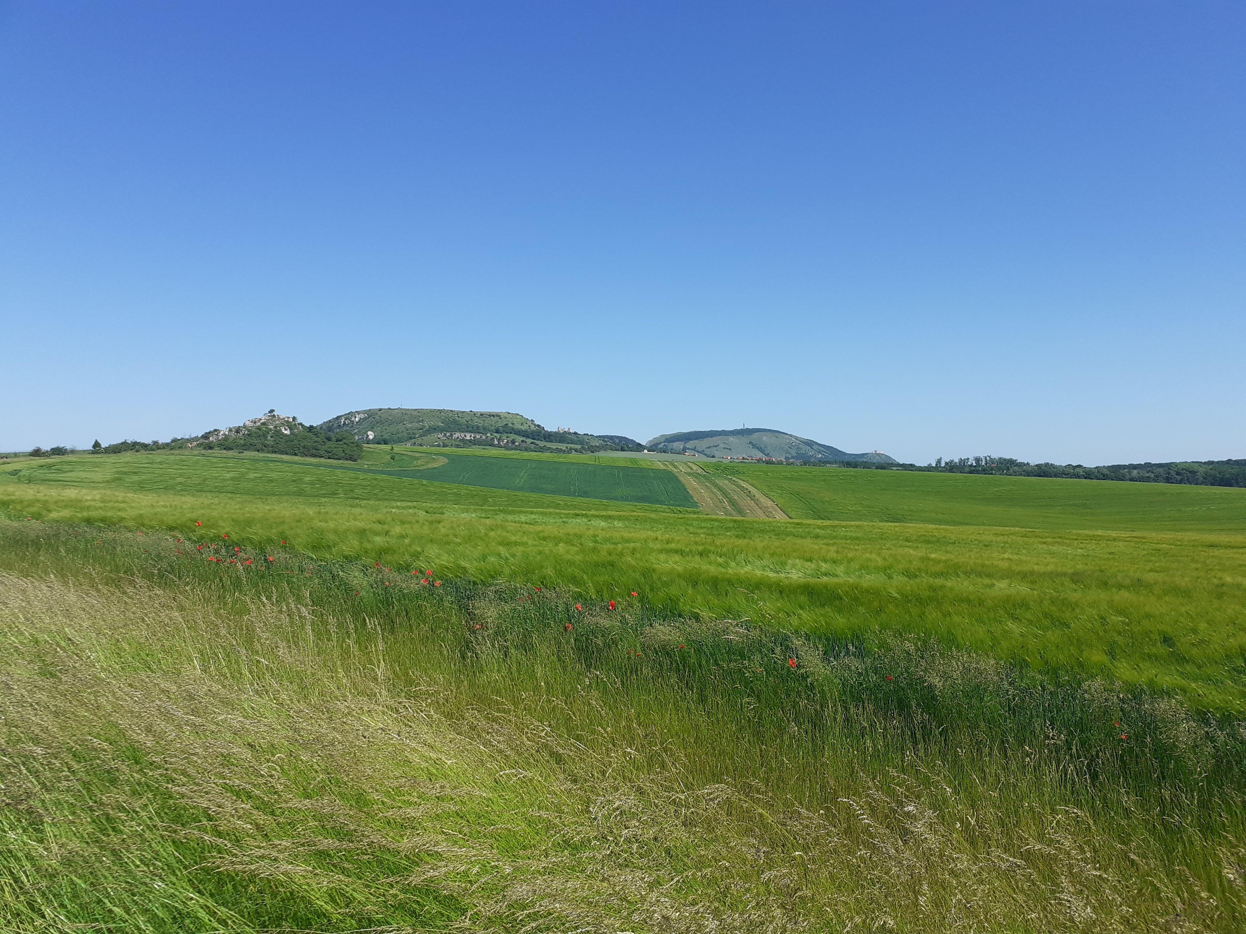 Pension Pěnčík foto 1