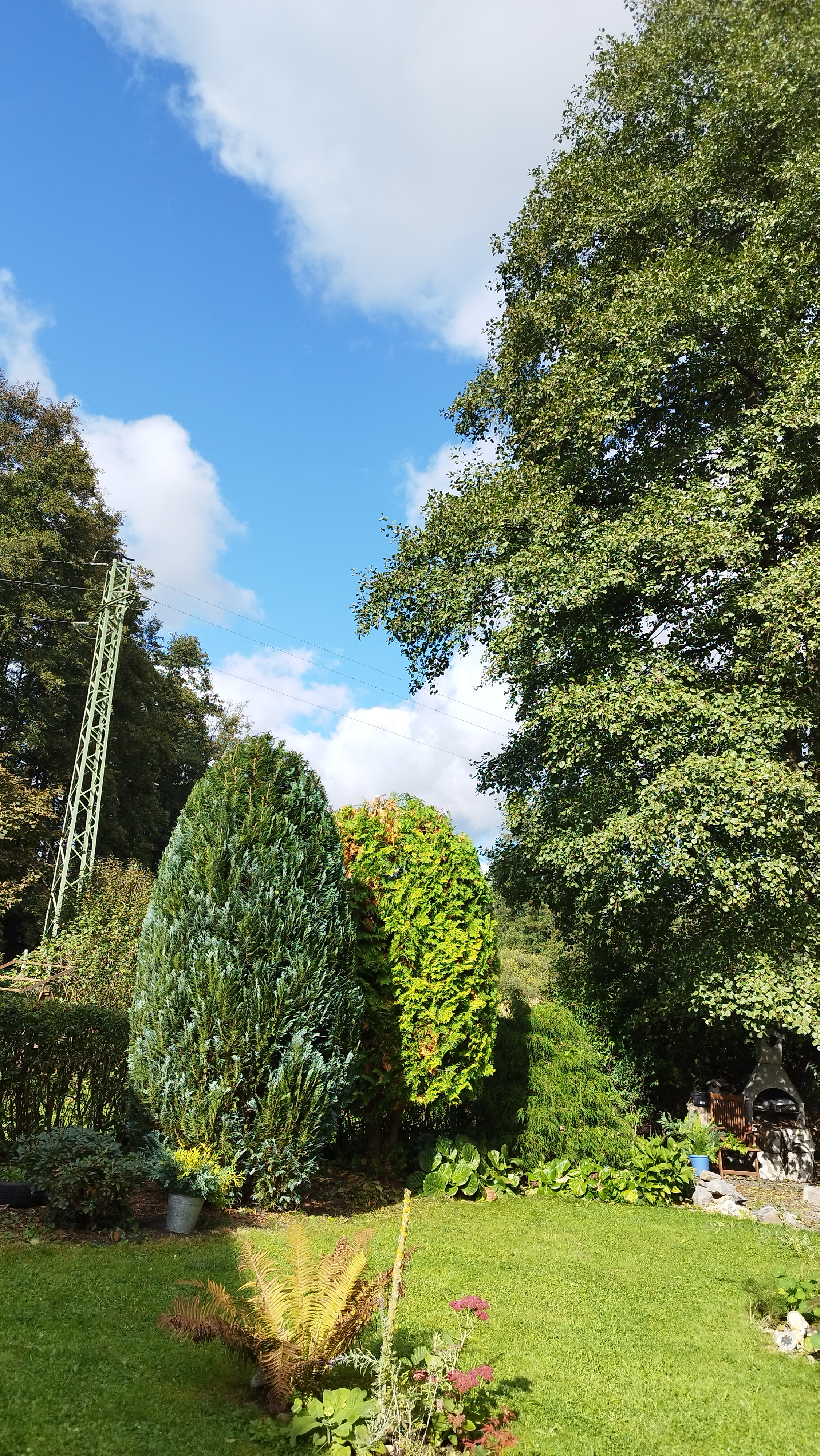 Zahrady Kubíček foto 6