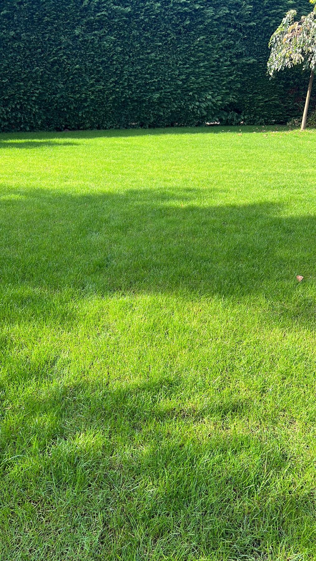 SK Slovan Poděbrady foto 3