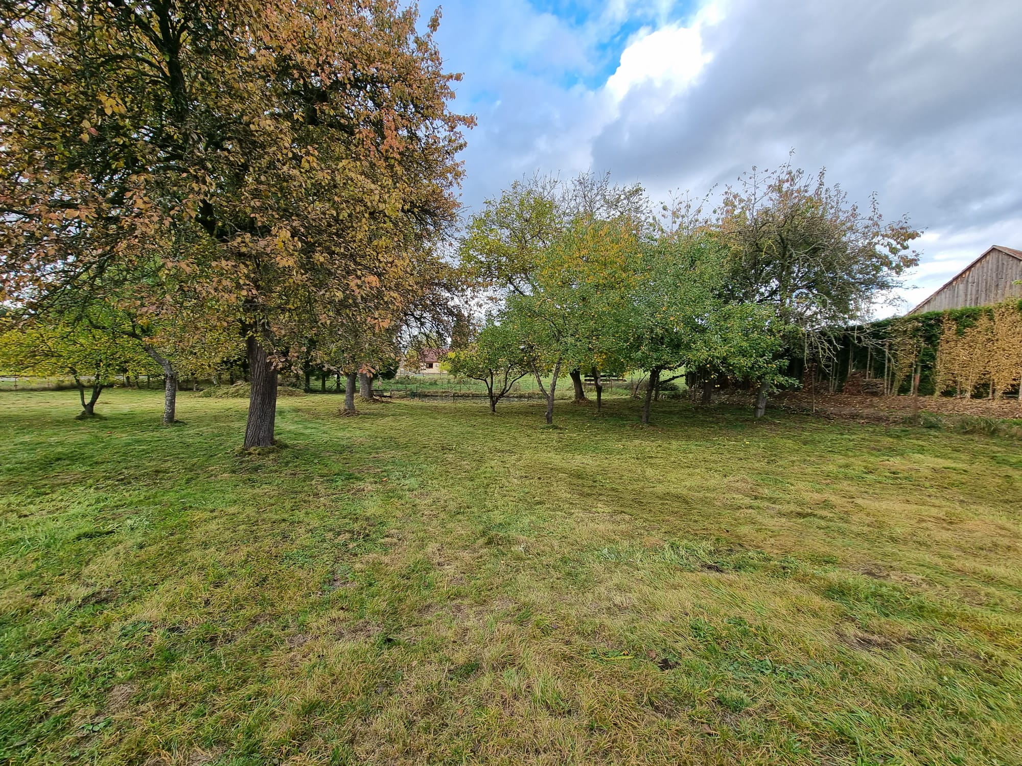 Bohdan Kříž  - Posečená zahrada foto 5