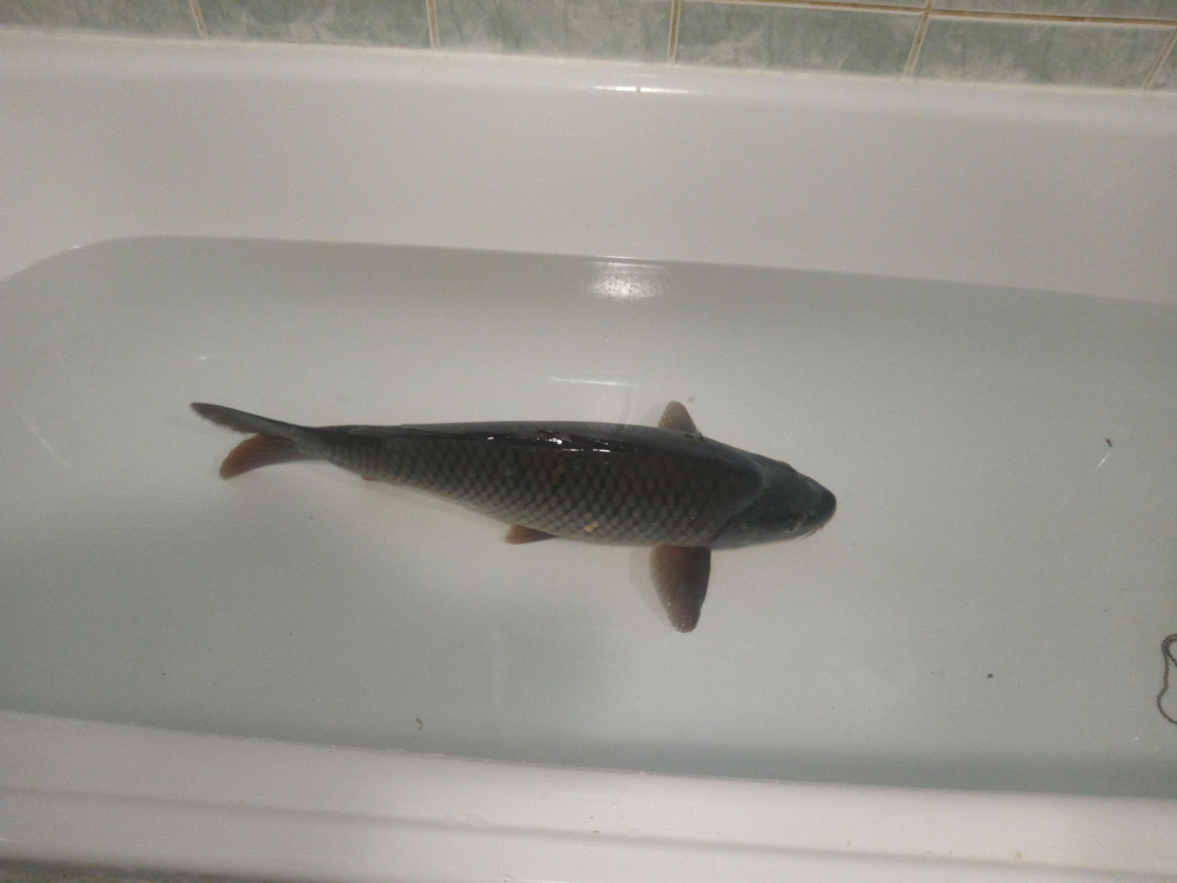 Tesco Extra foto 5