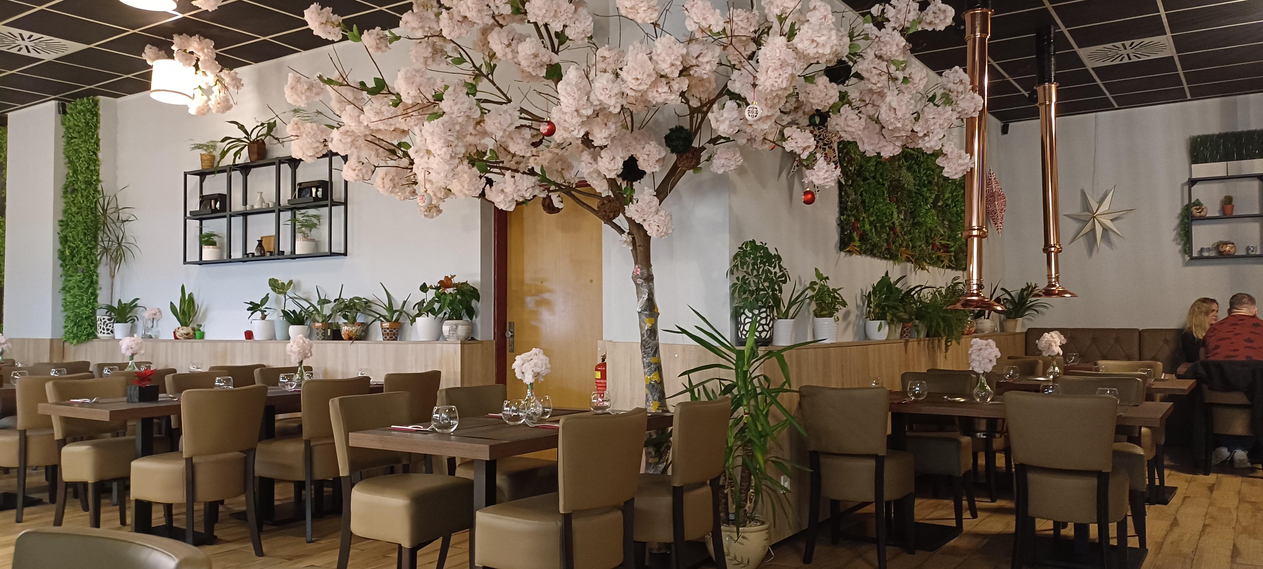 KAZOKU Restaurant foto 4