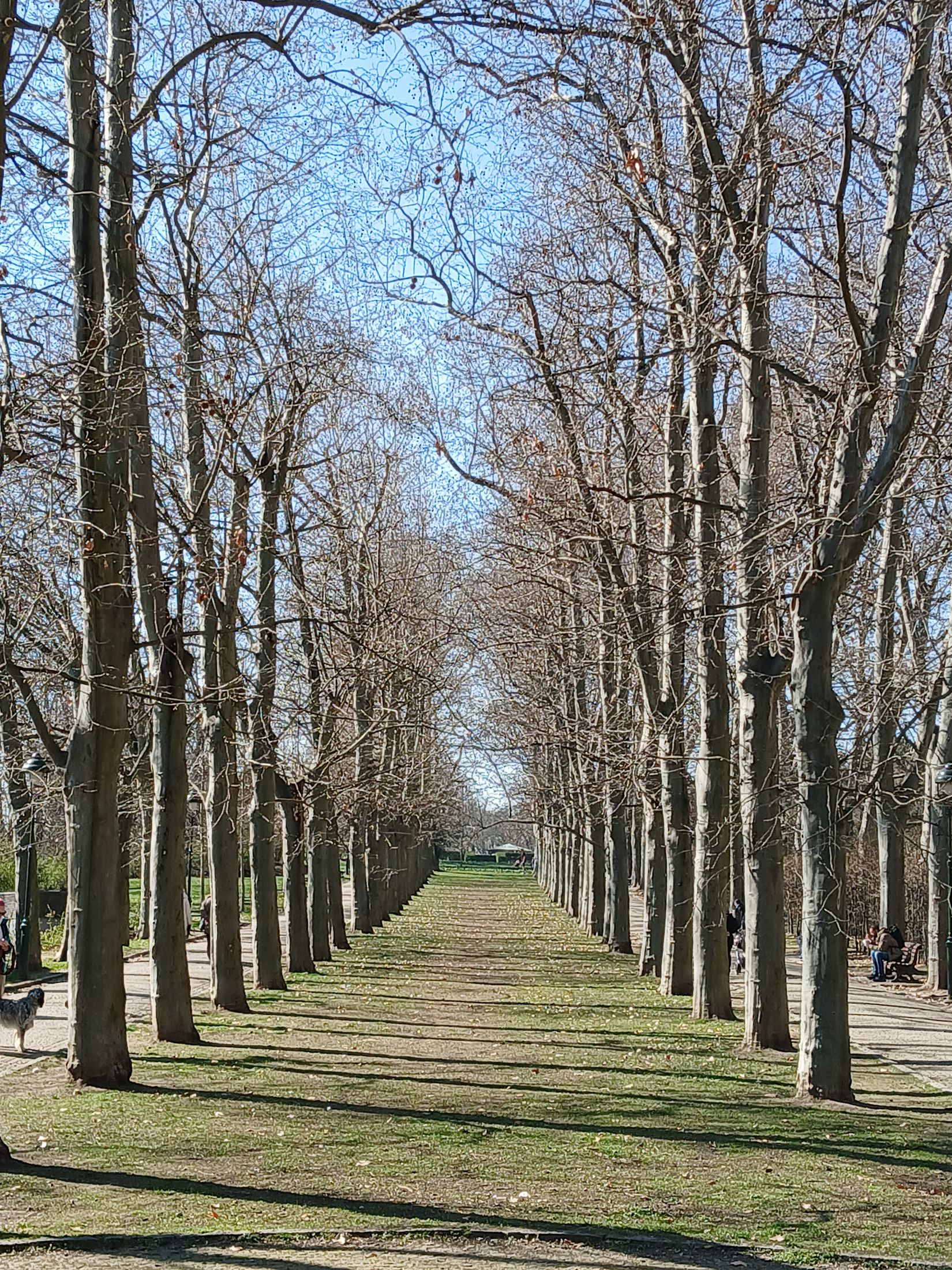 64MeZ5.jpeg?fl=rot,270,0%7Cres,2200,2200,1