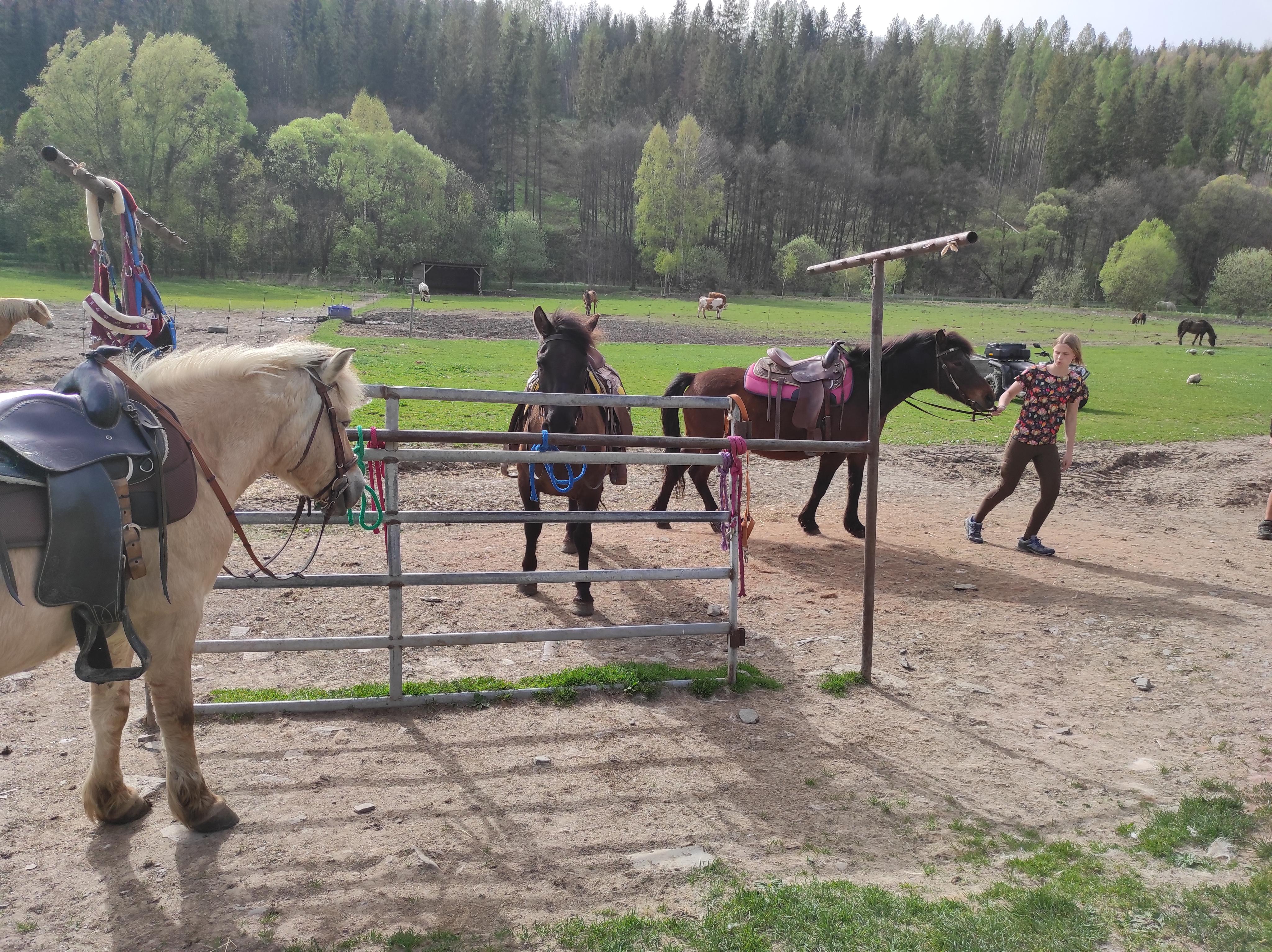 Eko Farma Karlovice foto 3