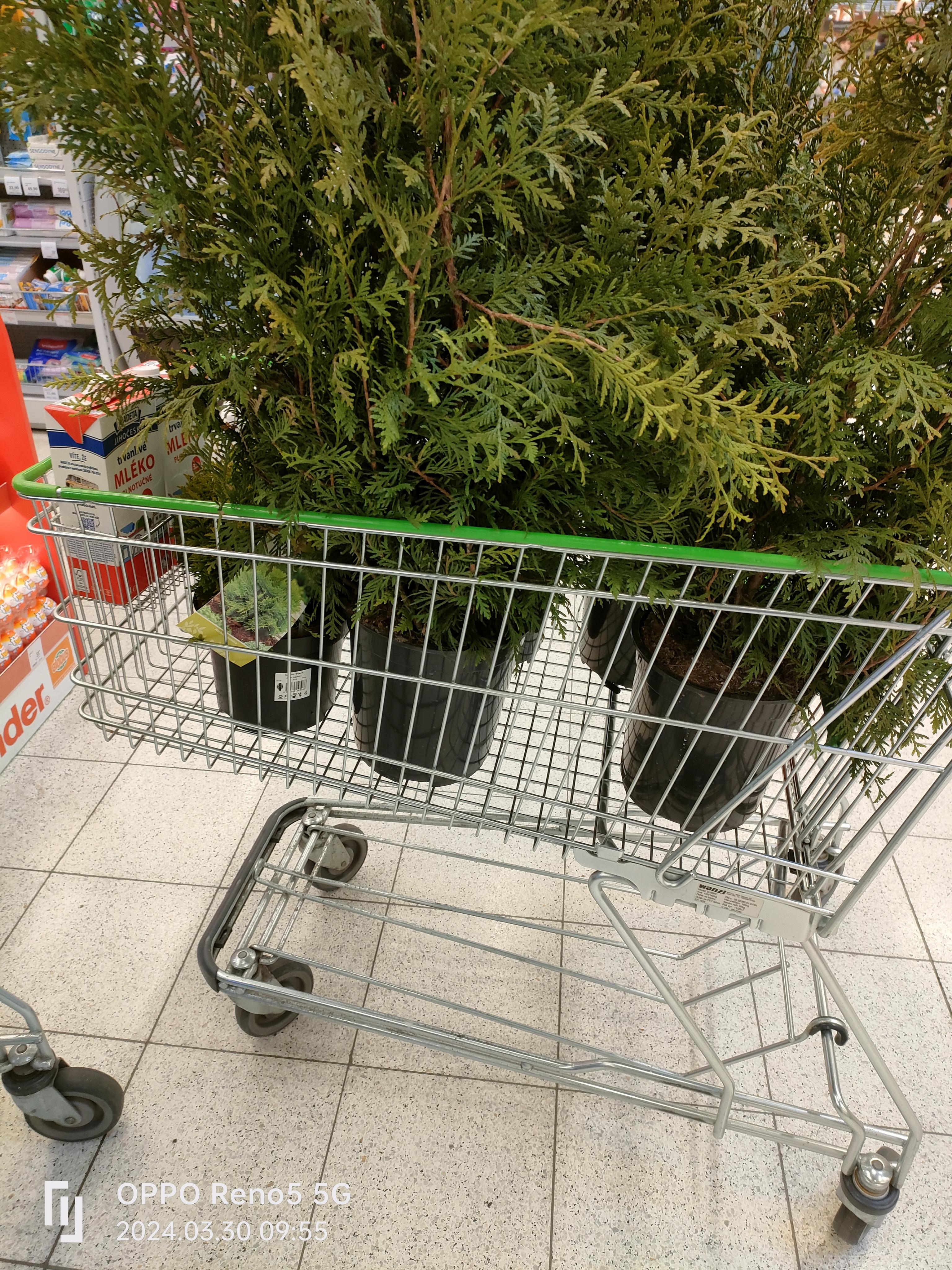 Globus Hypermarket foto 6