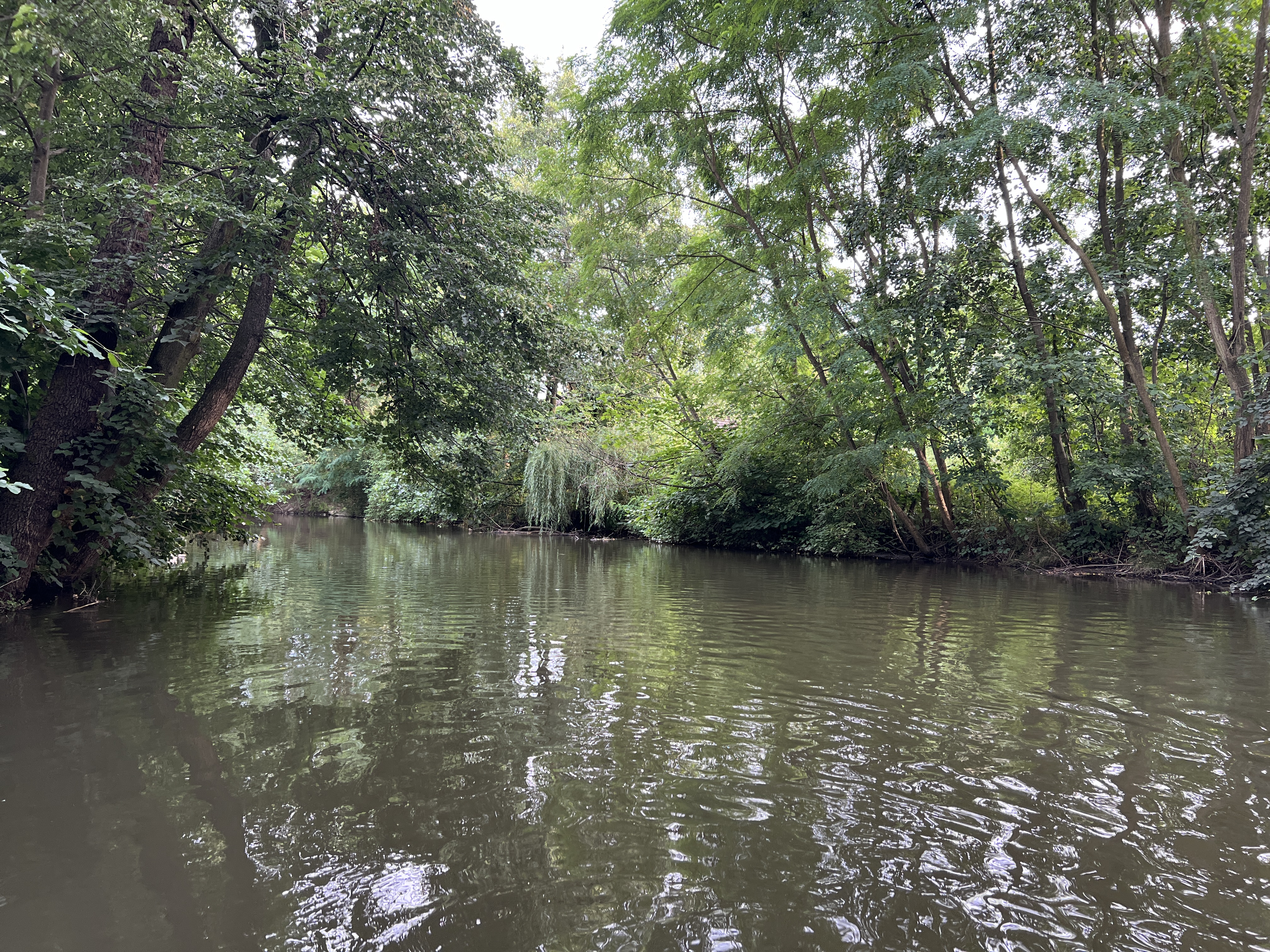 Tábořiště Horka nad Moravou foto 3