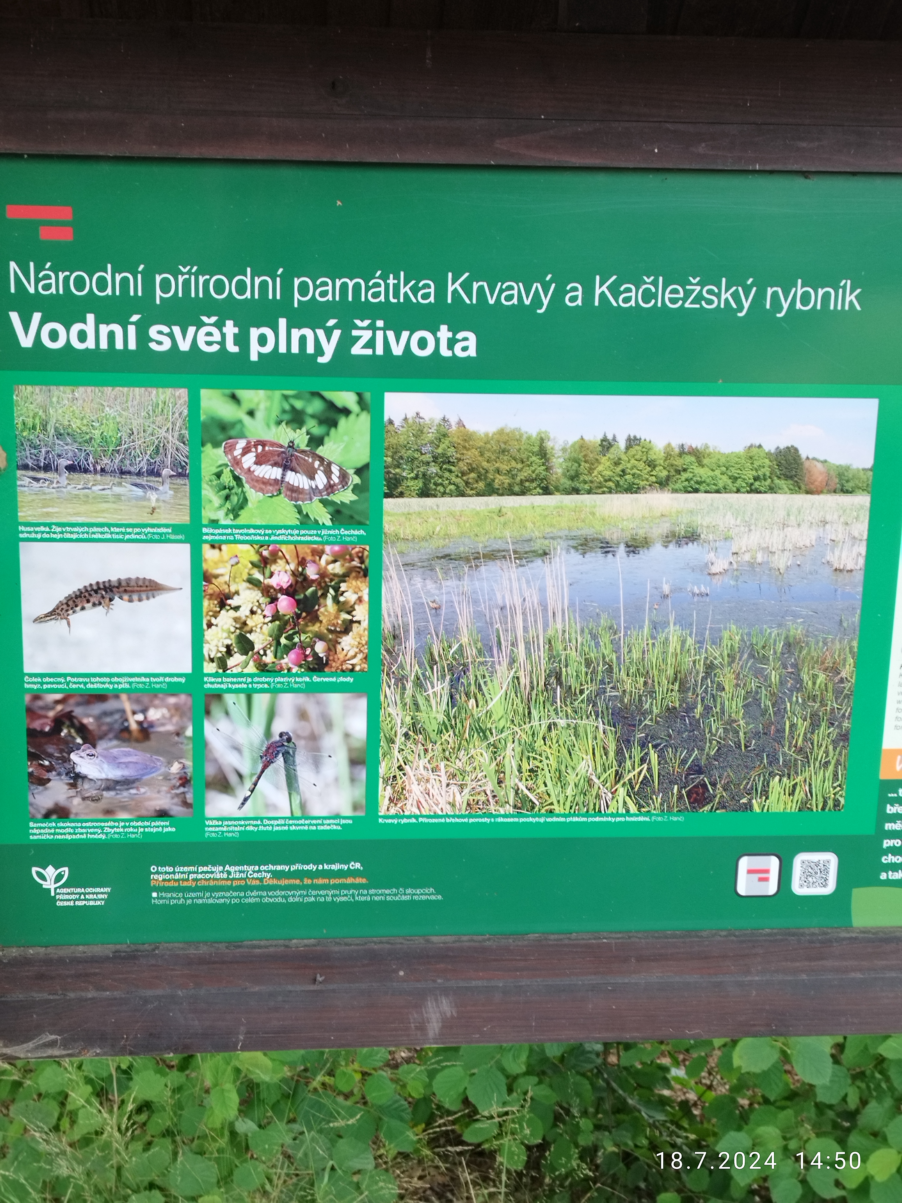 Občerstvení Hospříz foto 4