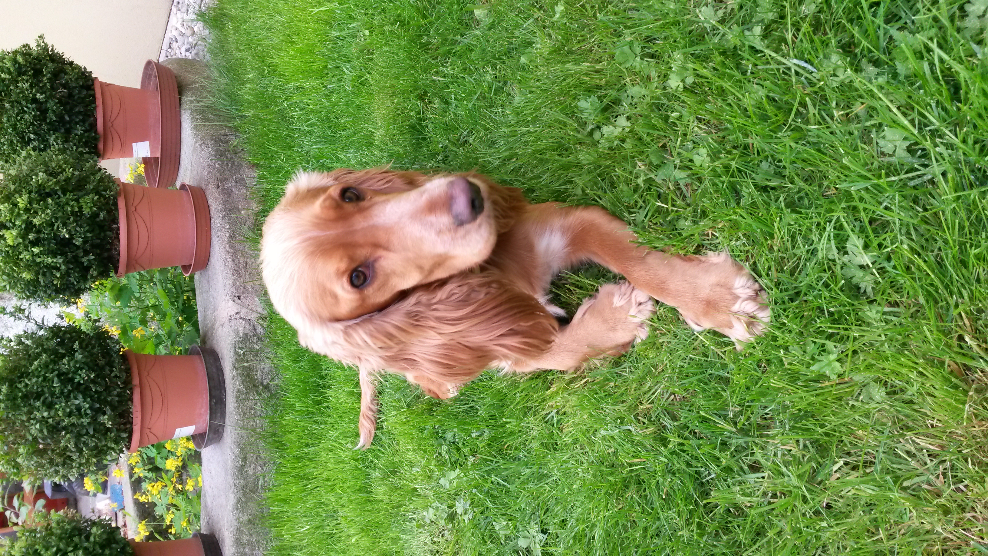 Veterinární klinika na Šumavské foto 6