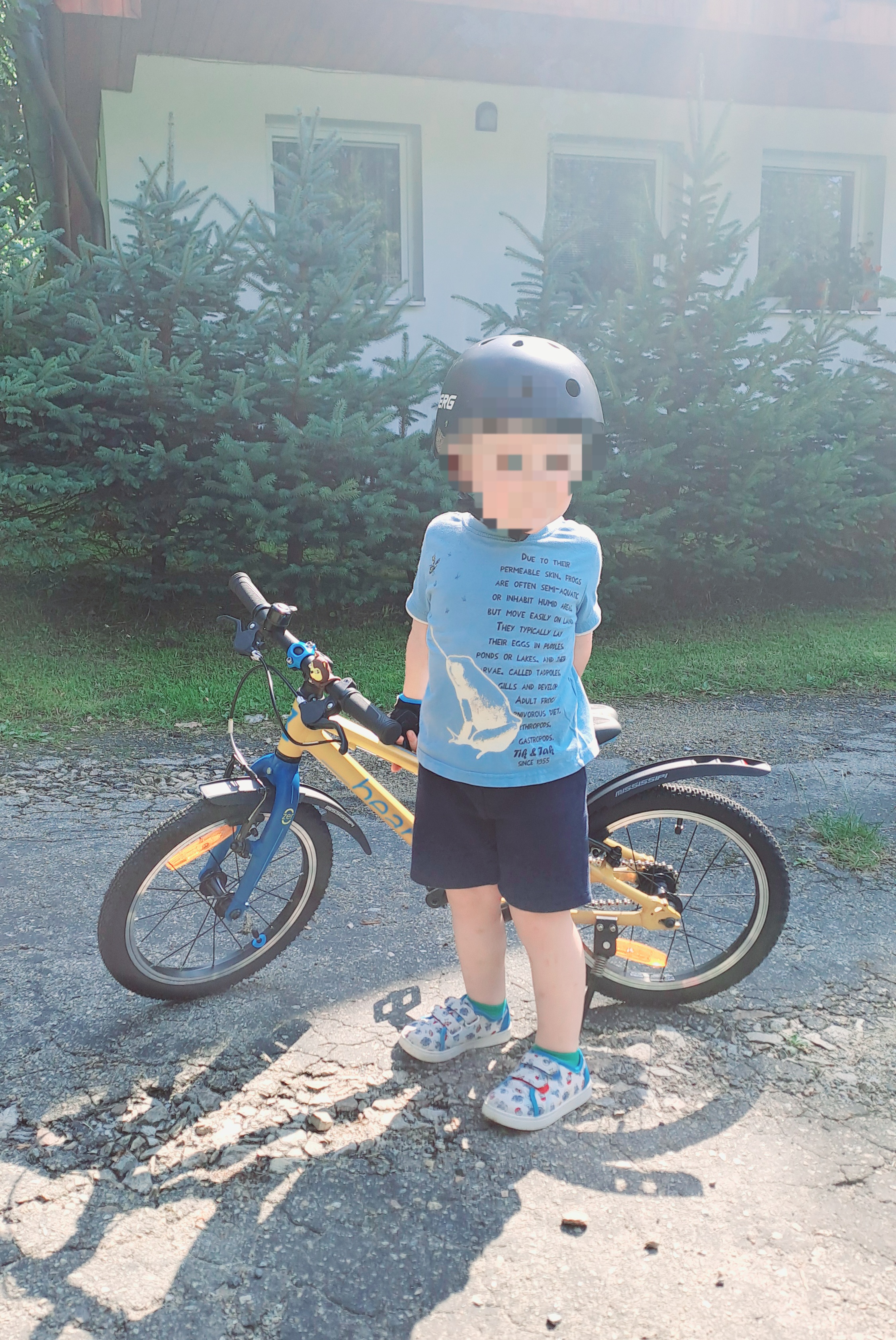 VELOSPORTER - servis bike foto 5