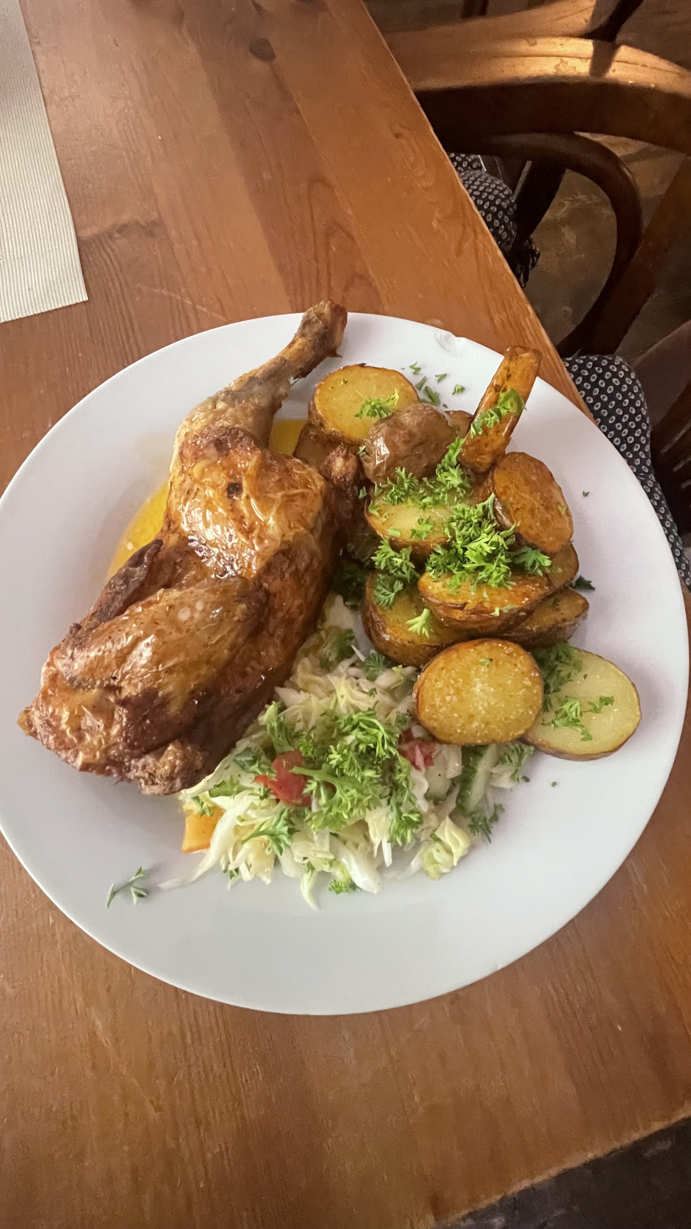 Penzion Troníček - restaurace foto 6