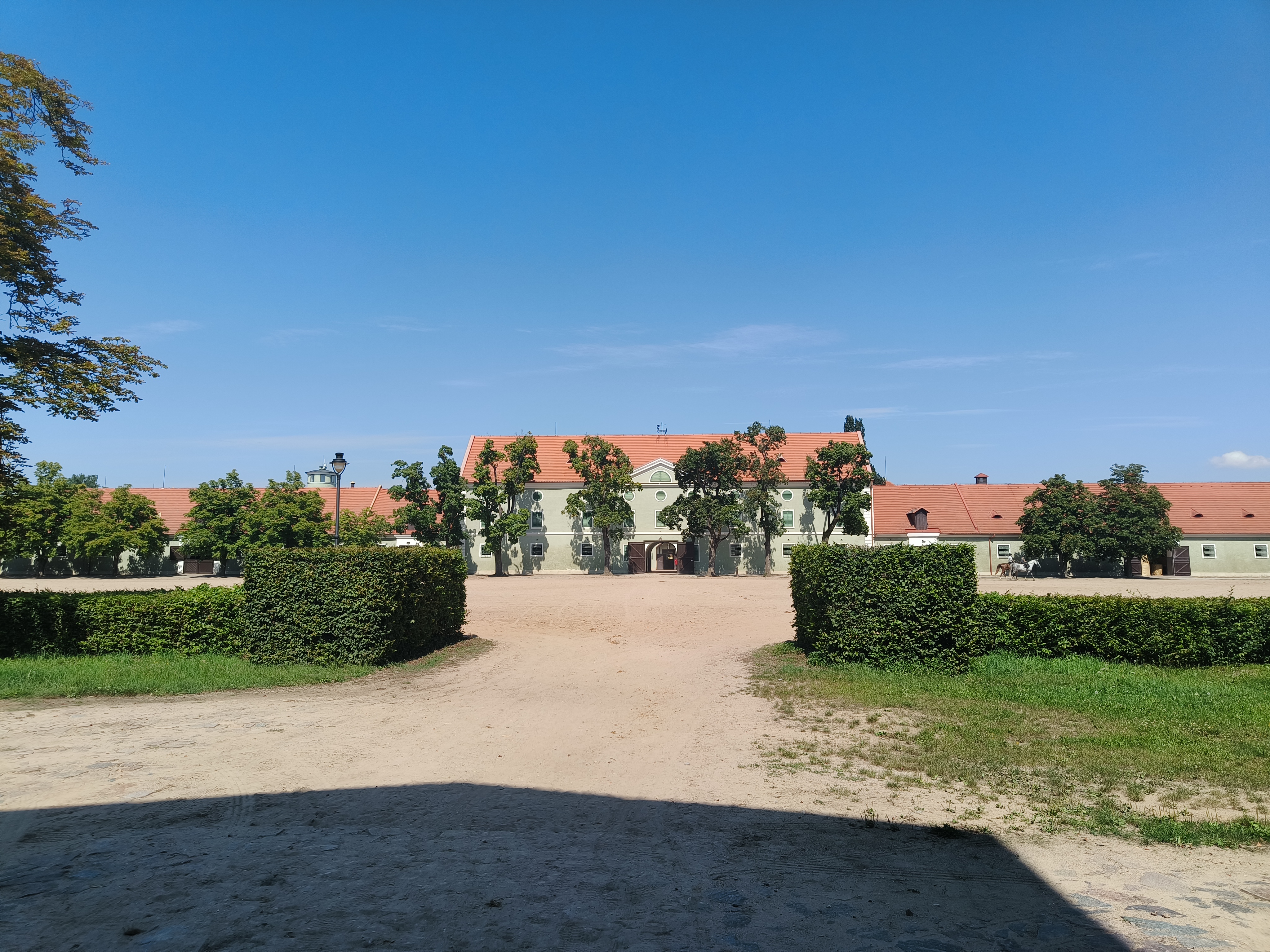 Národní hřebčín Kladruby nad Labem, státní příspěvková organizace foto 4