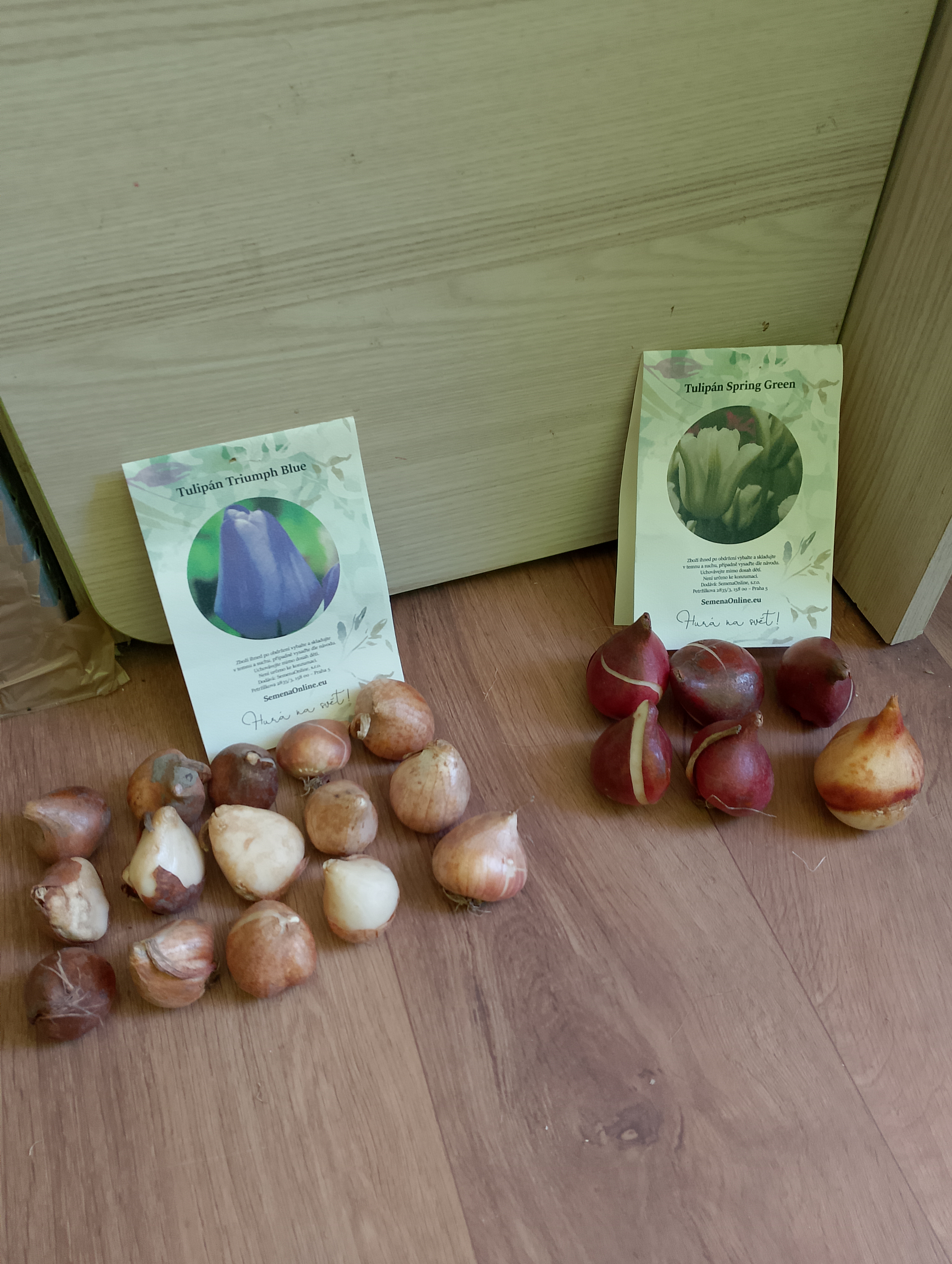 Semena.cz foto 6