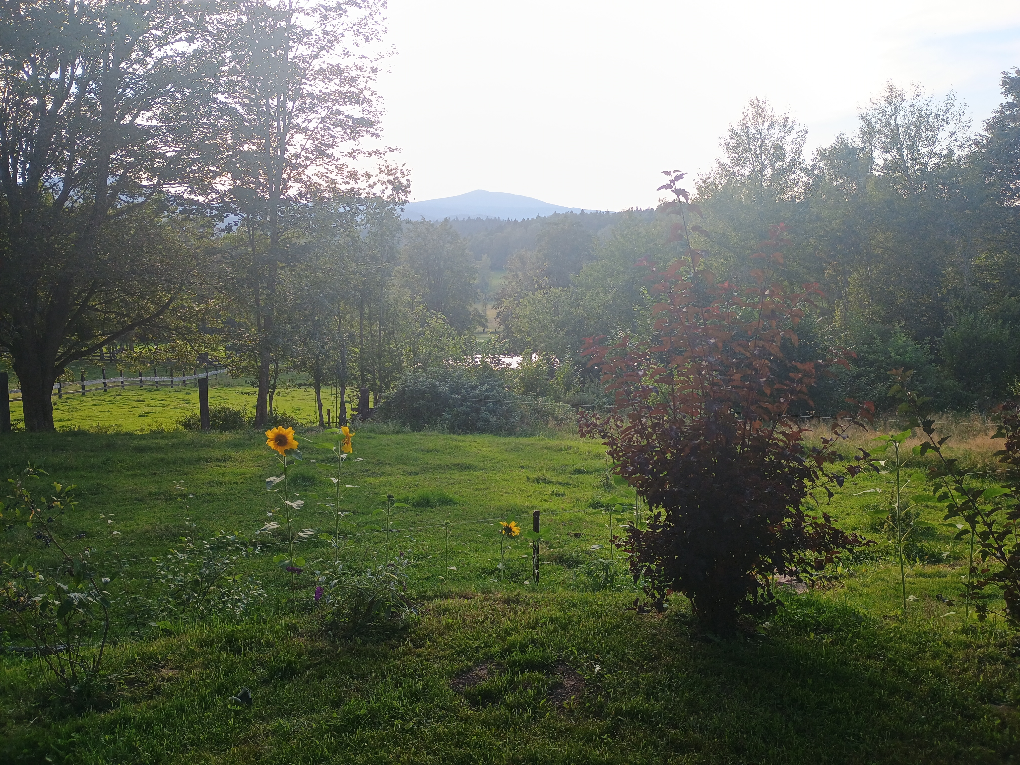 Apartmán U Hvězdáře foto 4